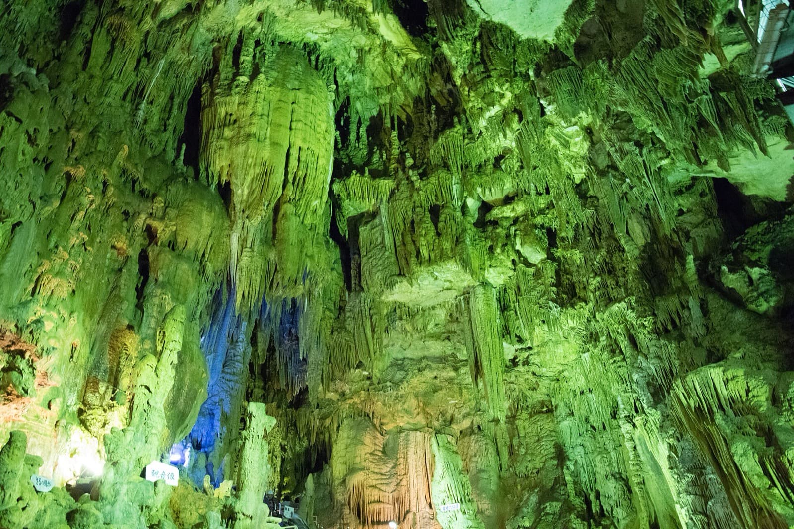 Walls of stalactites lit in green and blue inside a limestone cave