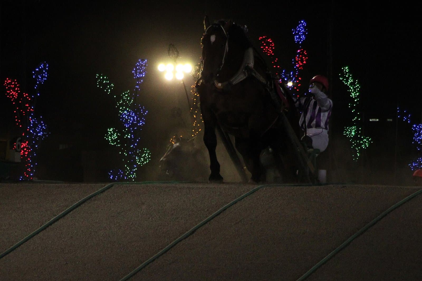 A draft horse pulling a sled at night with a jockey beside it and coloured lights behind