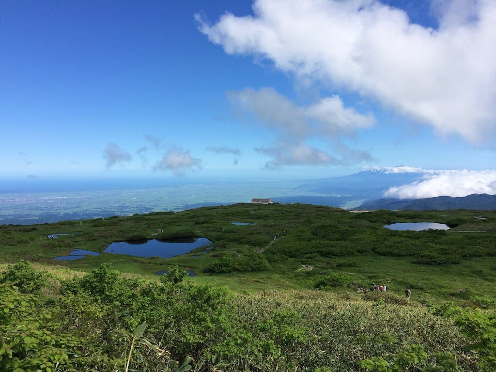 A green highland marsh dotted with ponds under a blue sky, with the sea and a snow-capped peak in the distance