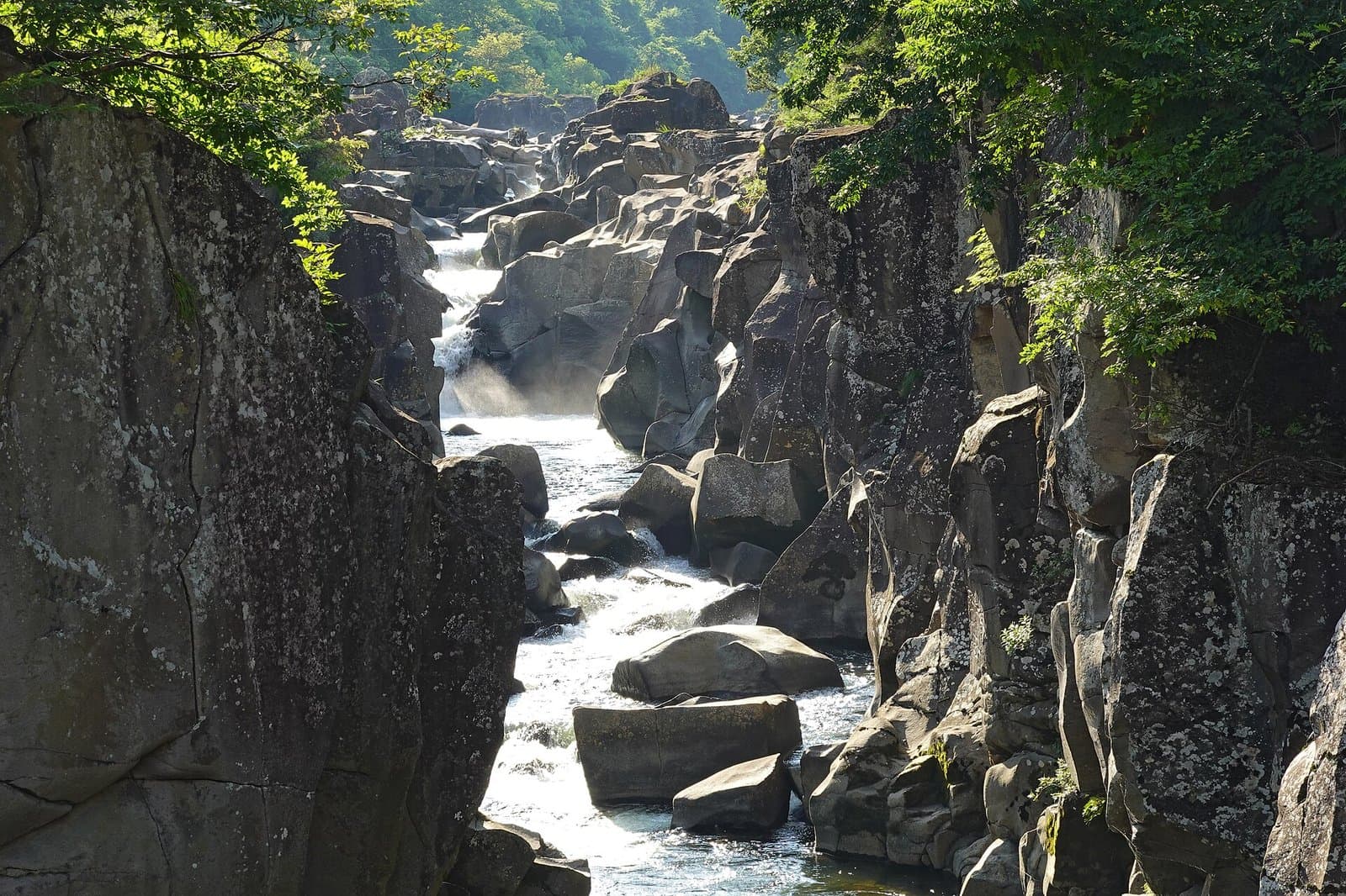 A stream flowing between grey rock walls with green trees above