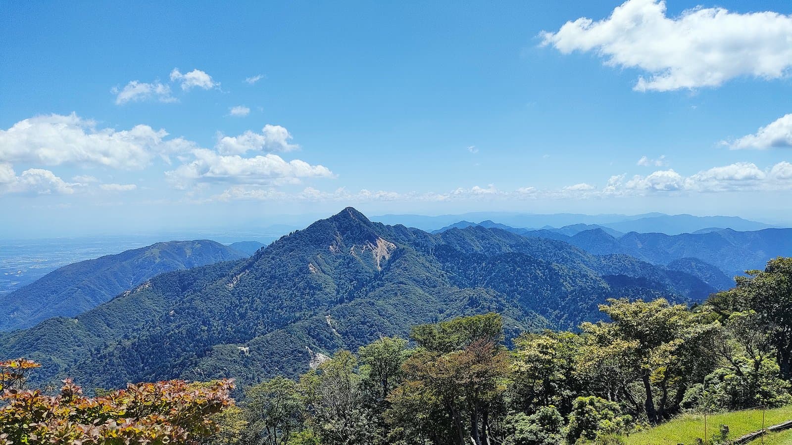 A panorama from a summit over forested ridges to a distant plain under a blue sky