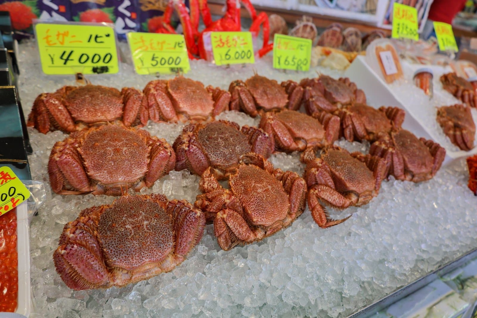 Hairy crabs laid out on ice with yellow price tags