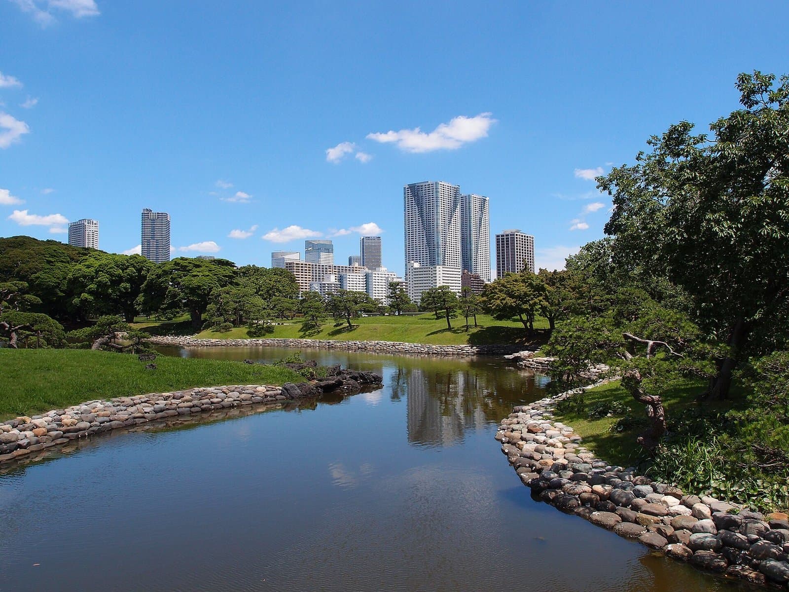 以石頭圍邊的池塘與松樹草地，遠方是高樓群
