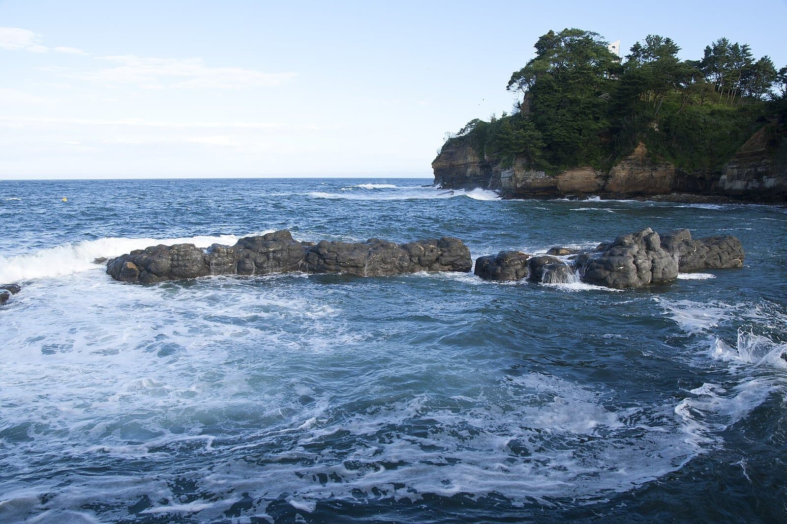 黑色岩礁周圍的海浪與長滿松樹的斷崖海岬