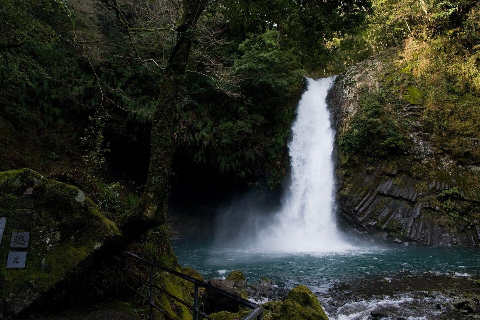 A waterfall plunging into a blue-green pool beside a cliff of columnar basalt, framed by forest