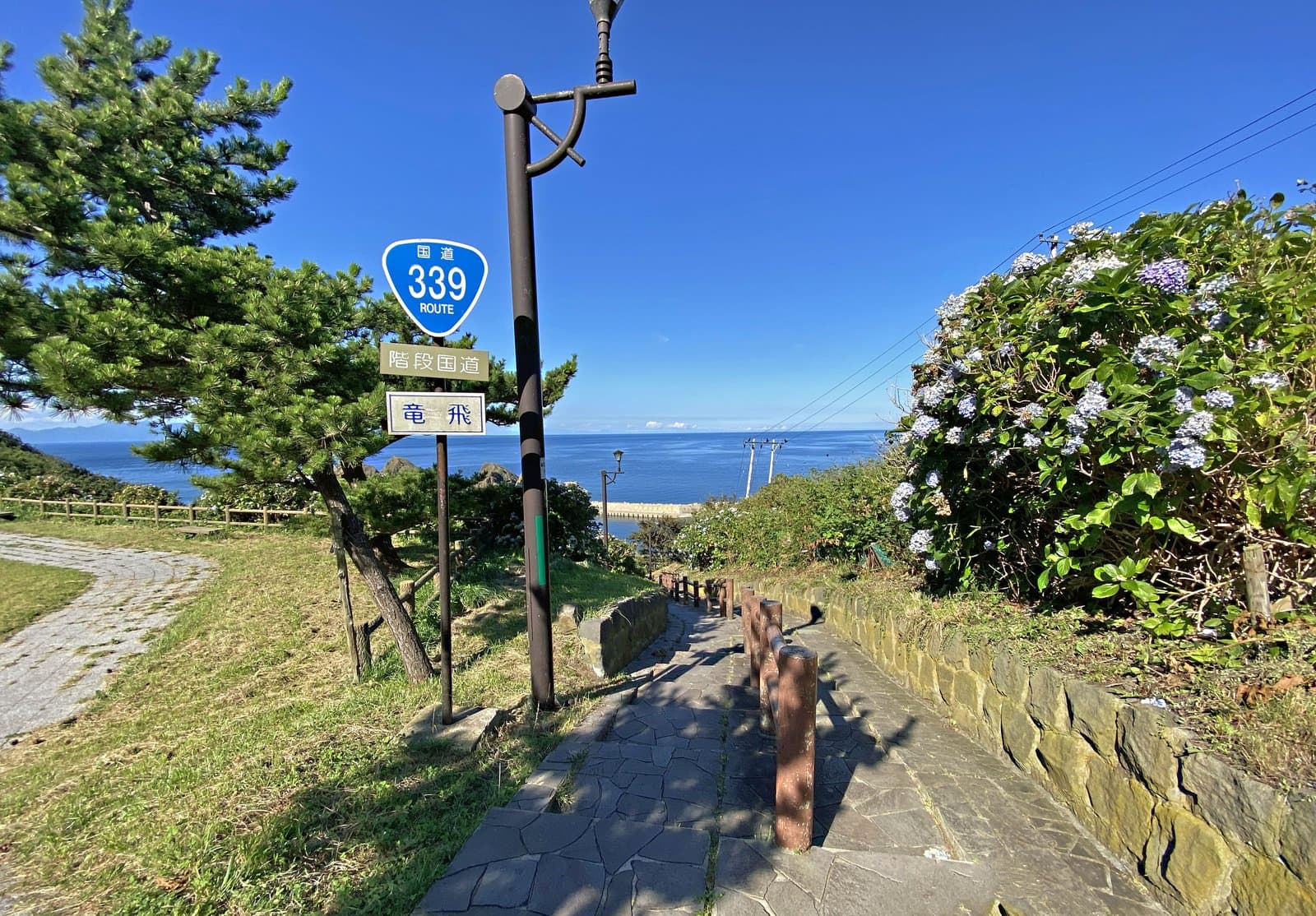 国道339号の標識と松、アジサイの横を、海へ下っていく石畳の階段道