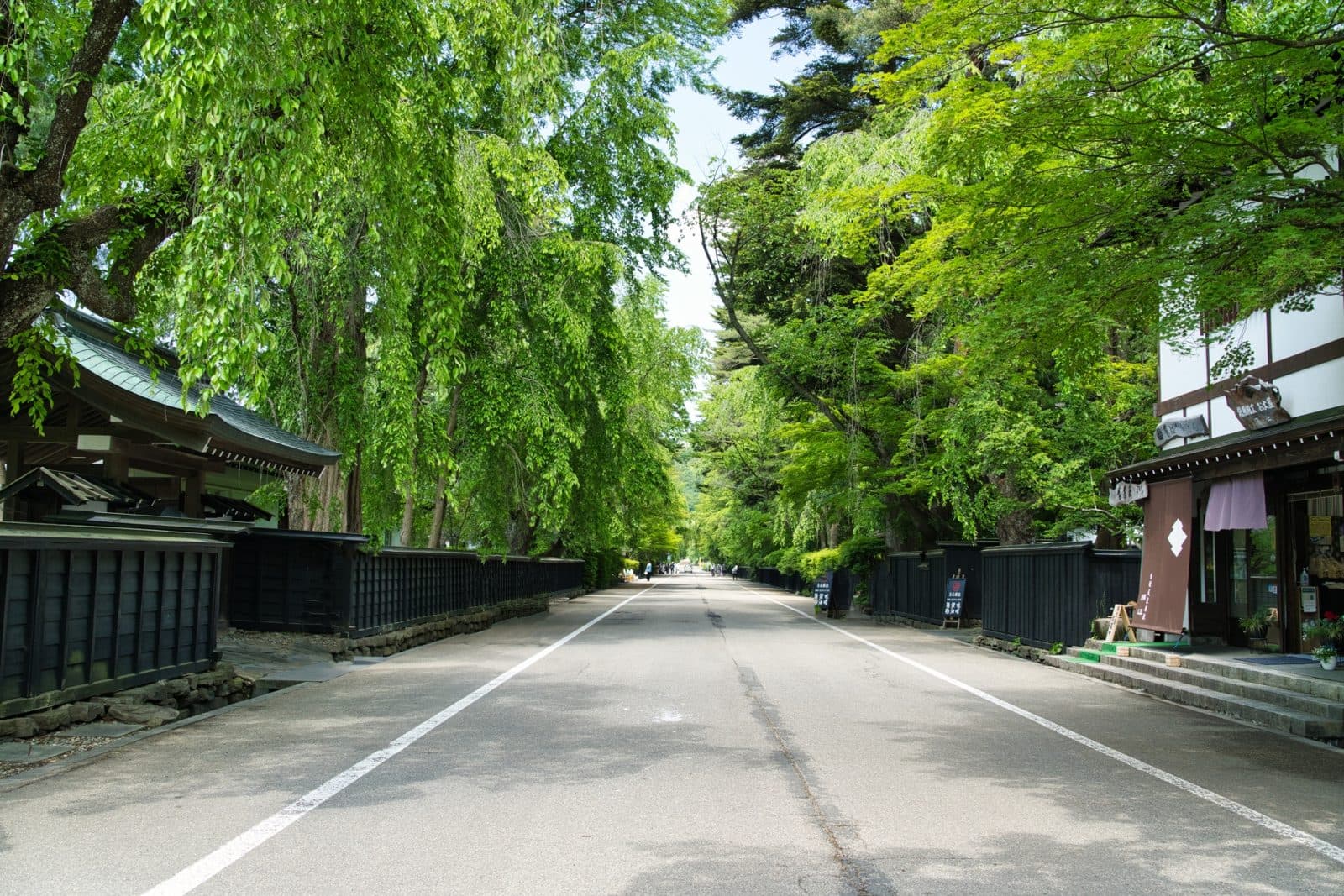 A wide street lined with black wooden fences and tall trees in fresh green, Kakunodate