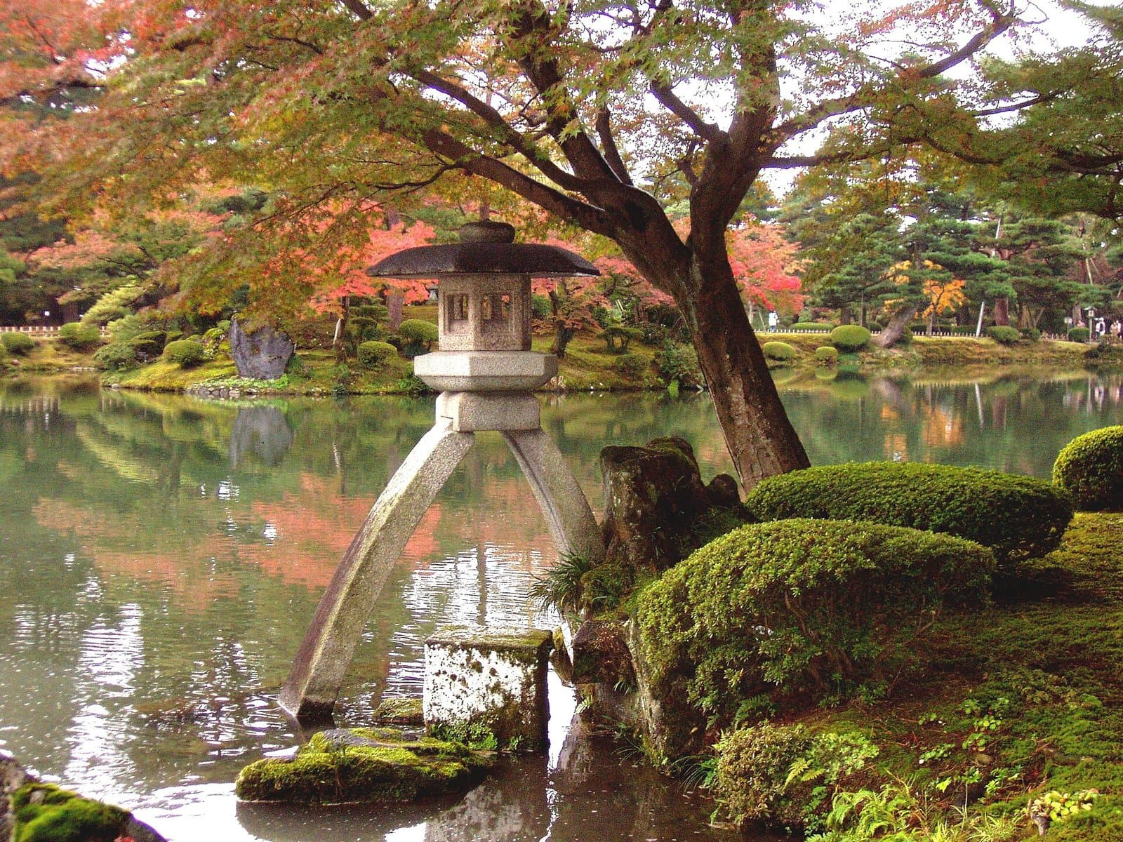 紅葉したモミジの下、池に立つ二本脚の徽軫灯籠