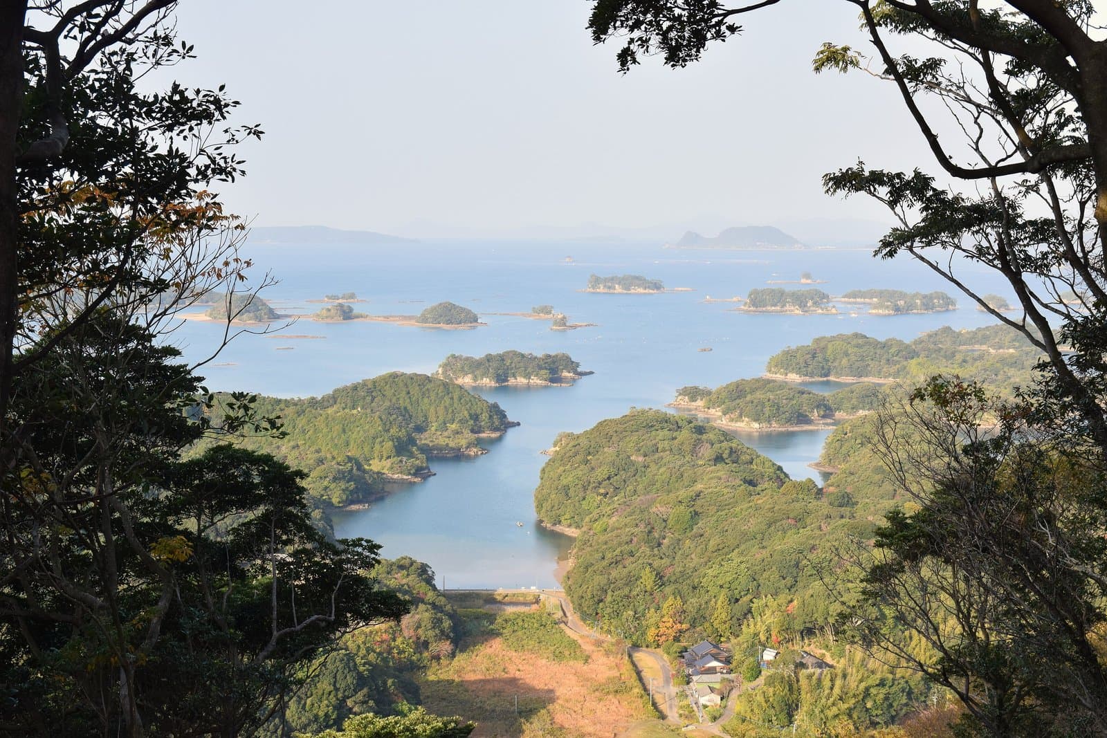Many small wooded islands in a calm sea, framed by trees