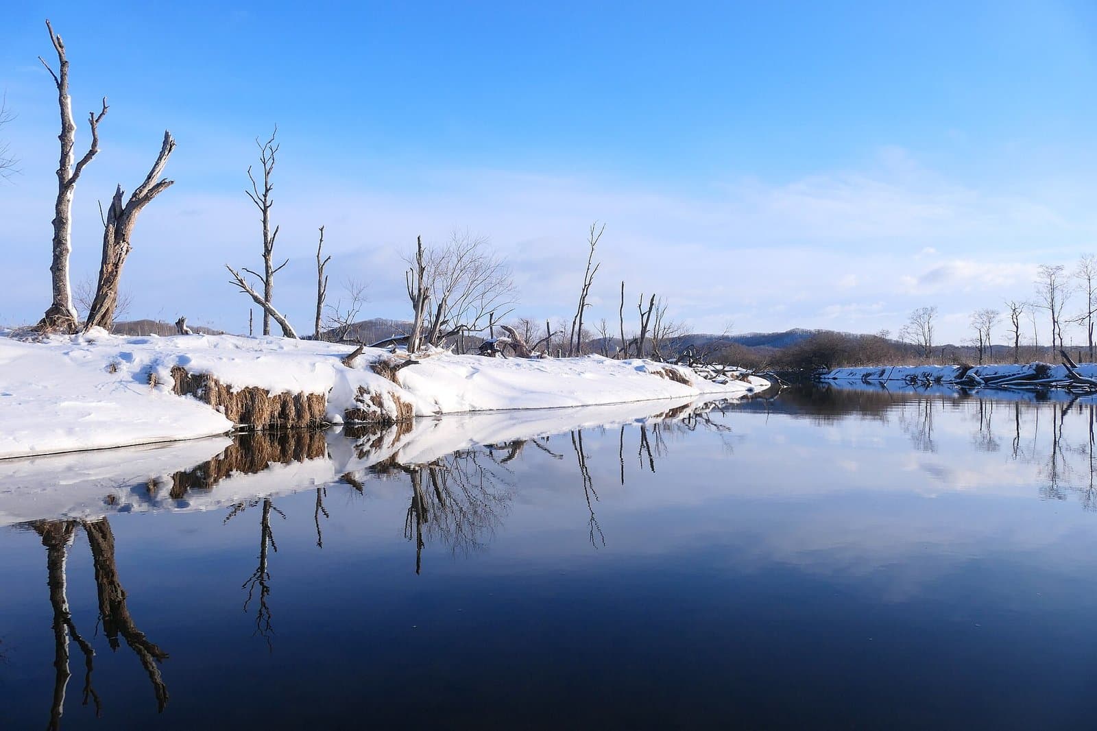 The Kushiro River with snowy banks and dead trees under a blue sky