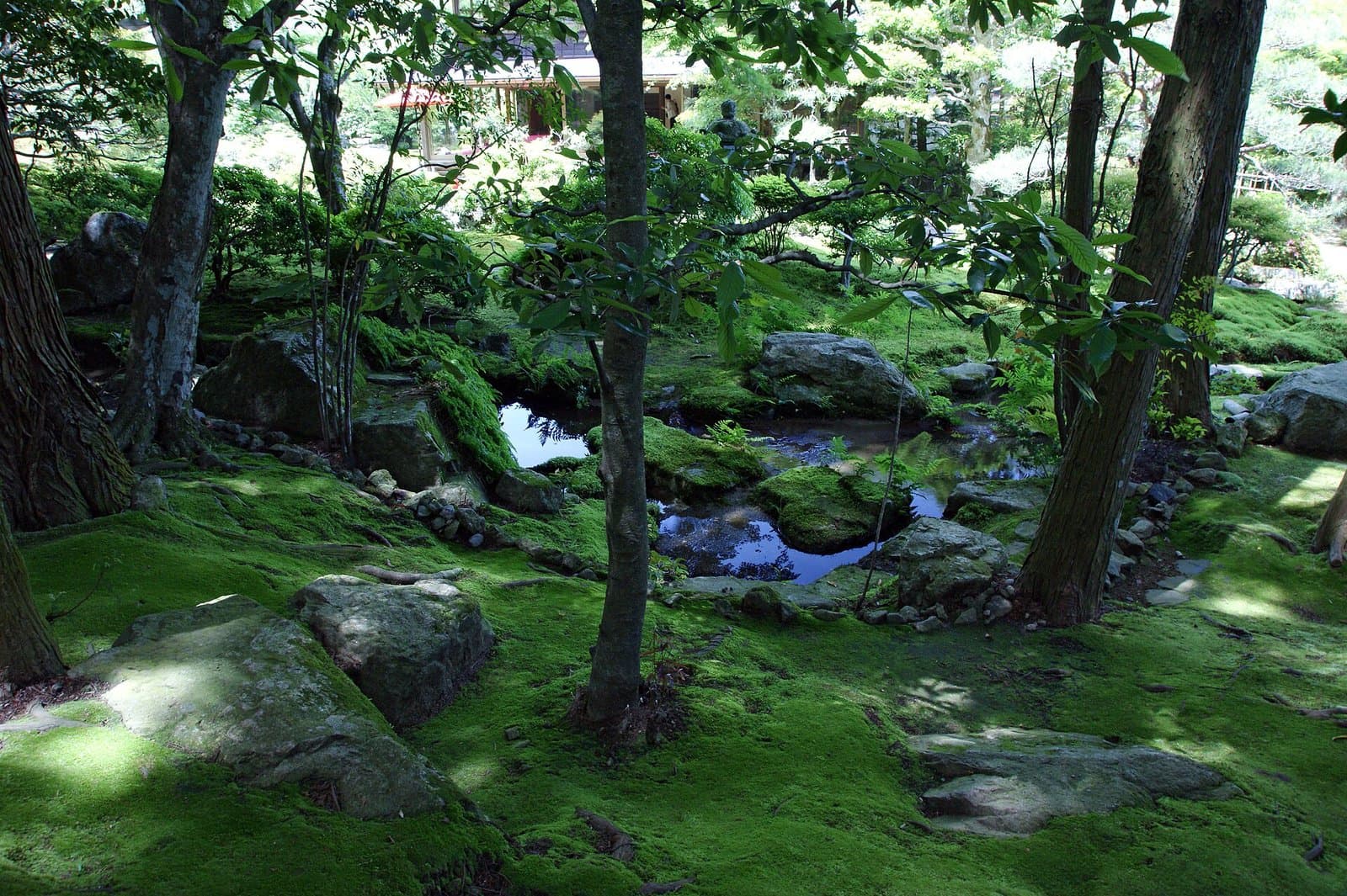 A garden of moss-covered ground, rocks and a small stream under green trees