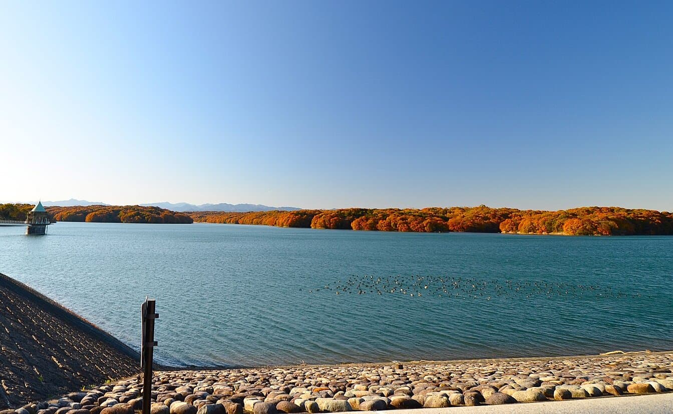 丸屋根の取水塔と、対岸の紅葉の林がある穏やかな湖