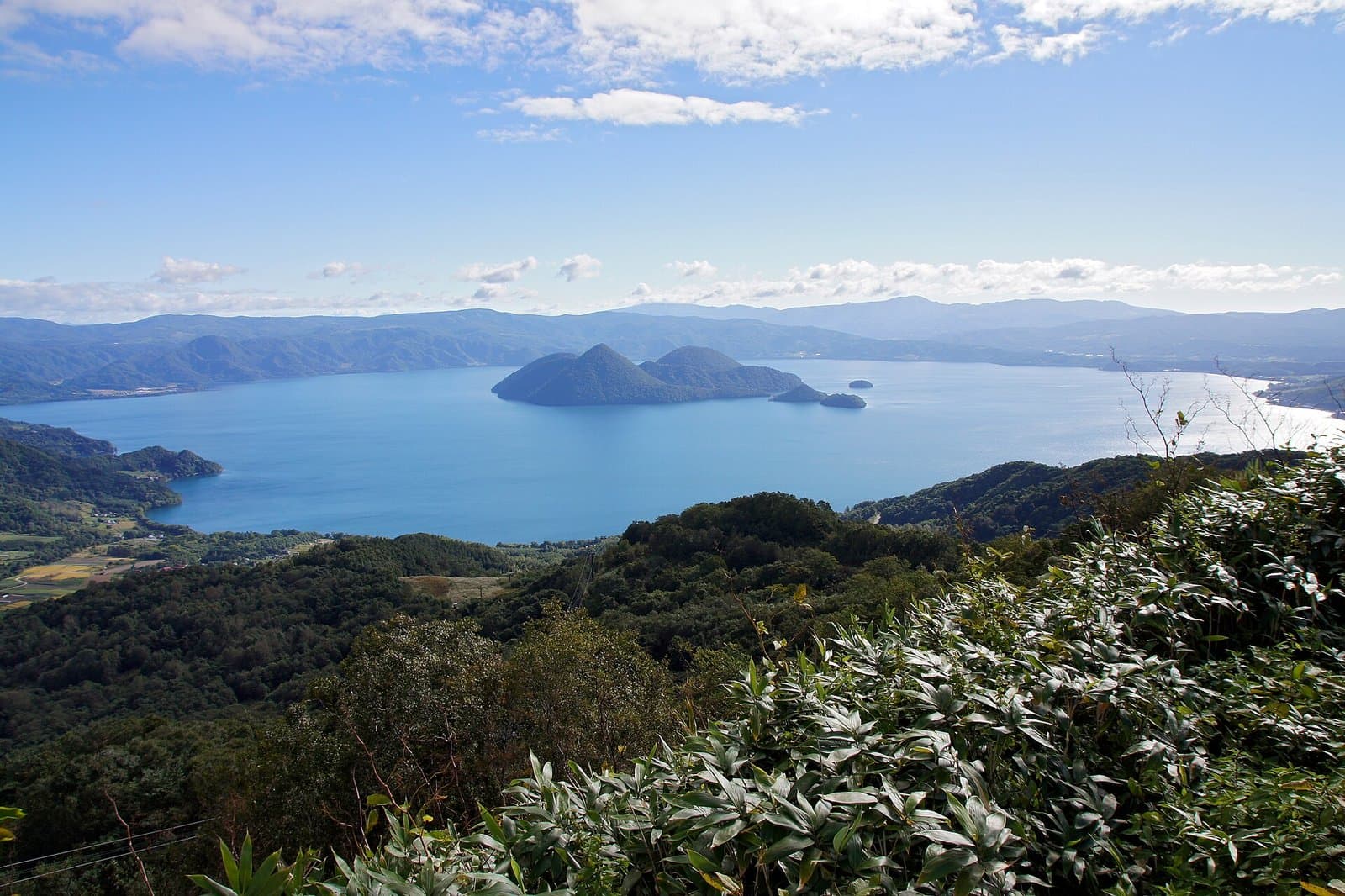 Lake Toya and its central islands seen from a hillside, with forest in front