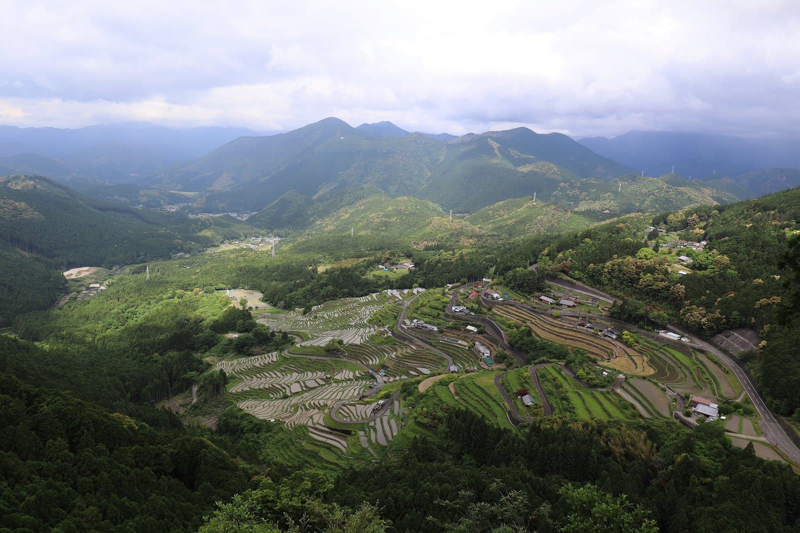 緑の山々に囲まれた斜面の棚田