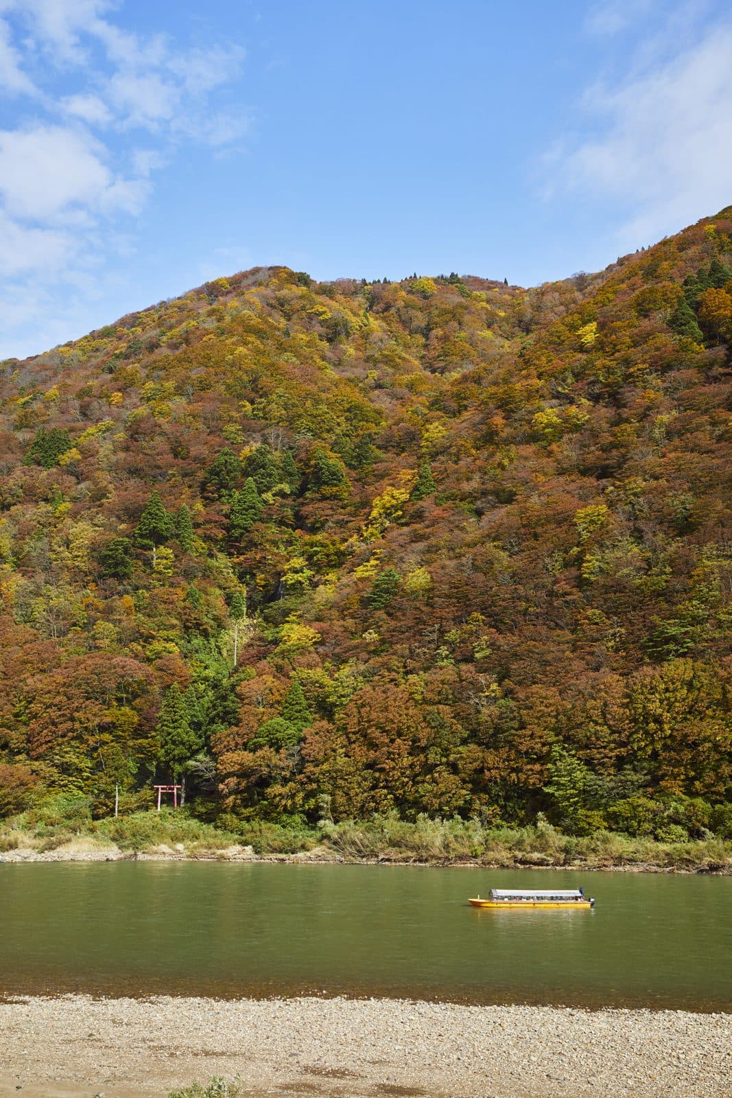 A yellow boat on the Mogami River below a mountain in autumn colours