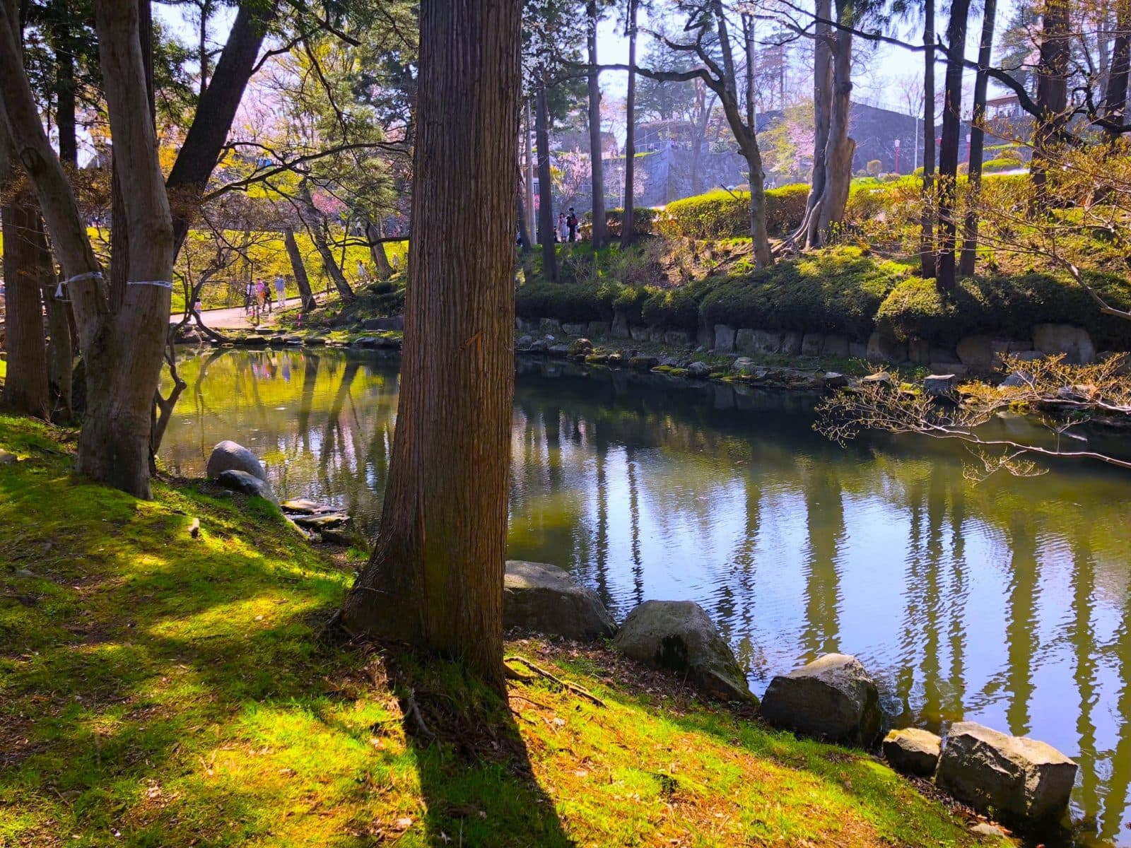 A pond with trees and moss-covered banks, with stone walls and visitors in the distance