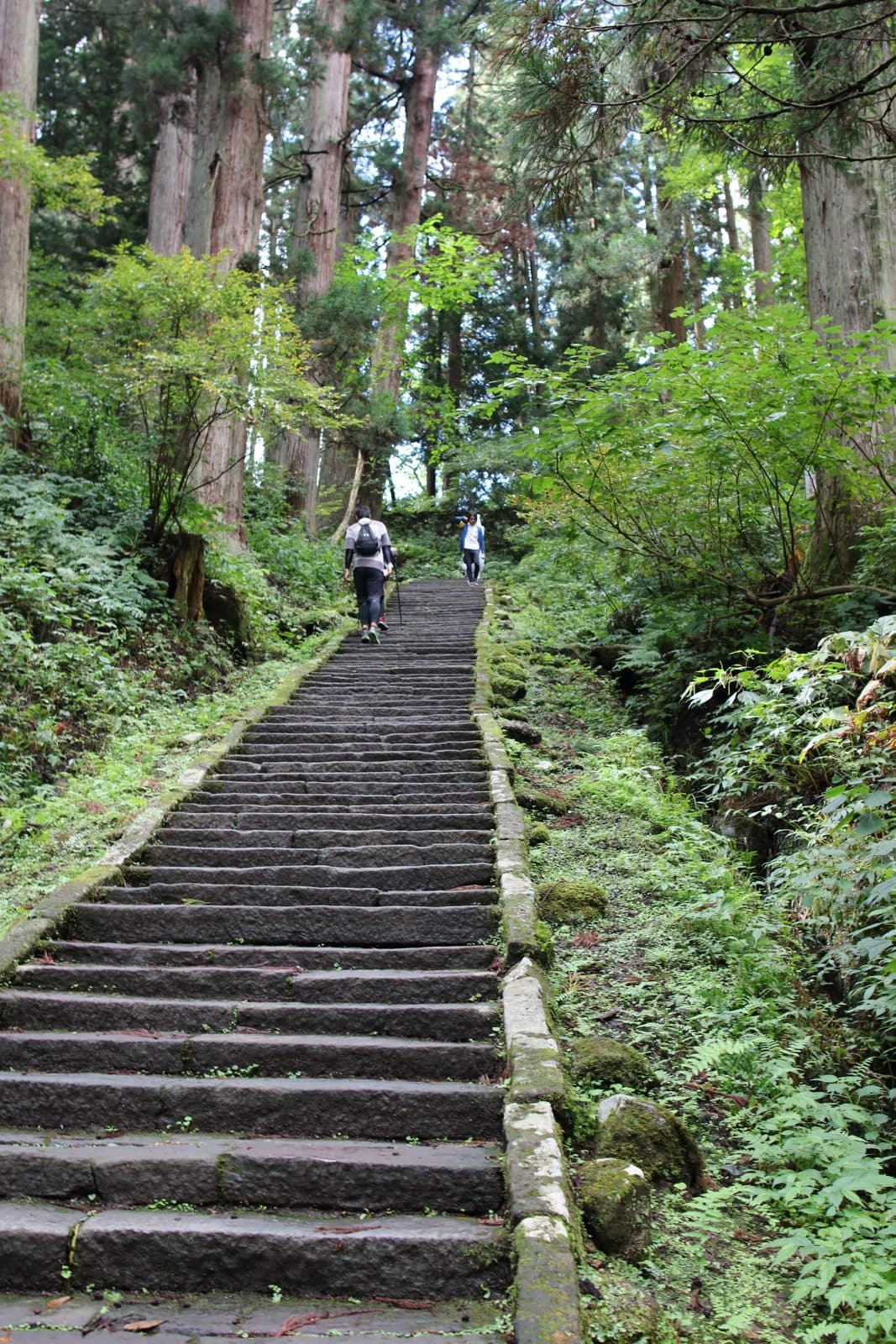 Stone steps climbing through a cedar forest on Mt Haguro, with two walkers in the distance