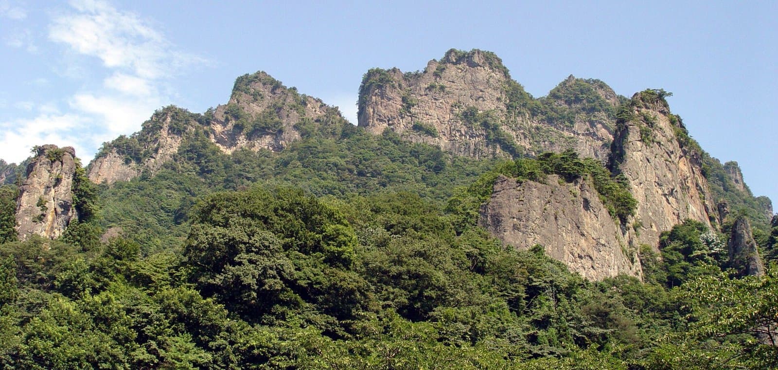 藍天下聳立在綠色森林上方的鋸齒狀岩峰