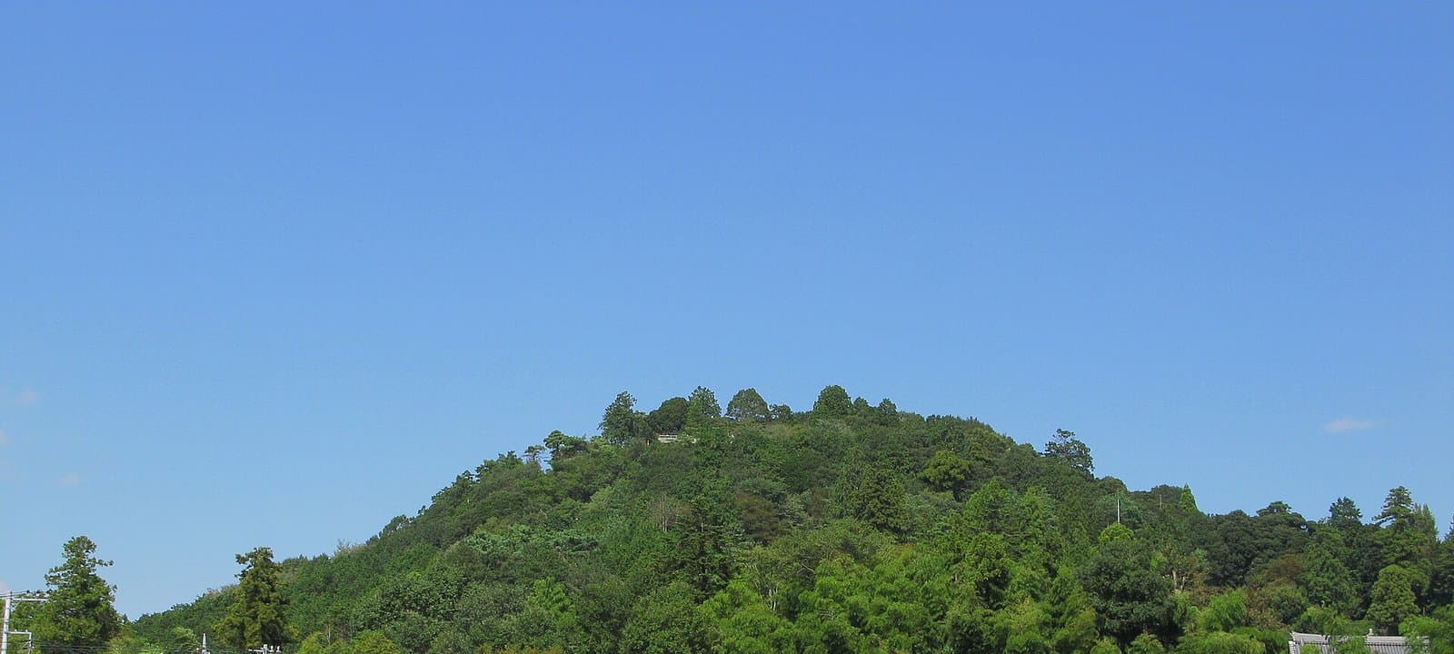 澄んだ青空の下の、緑の森に覆われた低い丸い山