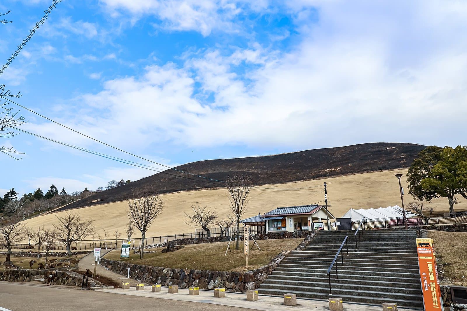 The grassy slope of Mt Wakakusa, blackened at the top after the annual burning, with the entrance gate and steps at its foot