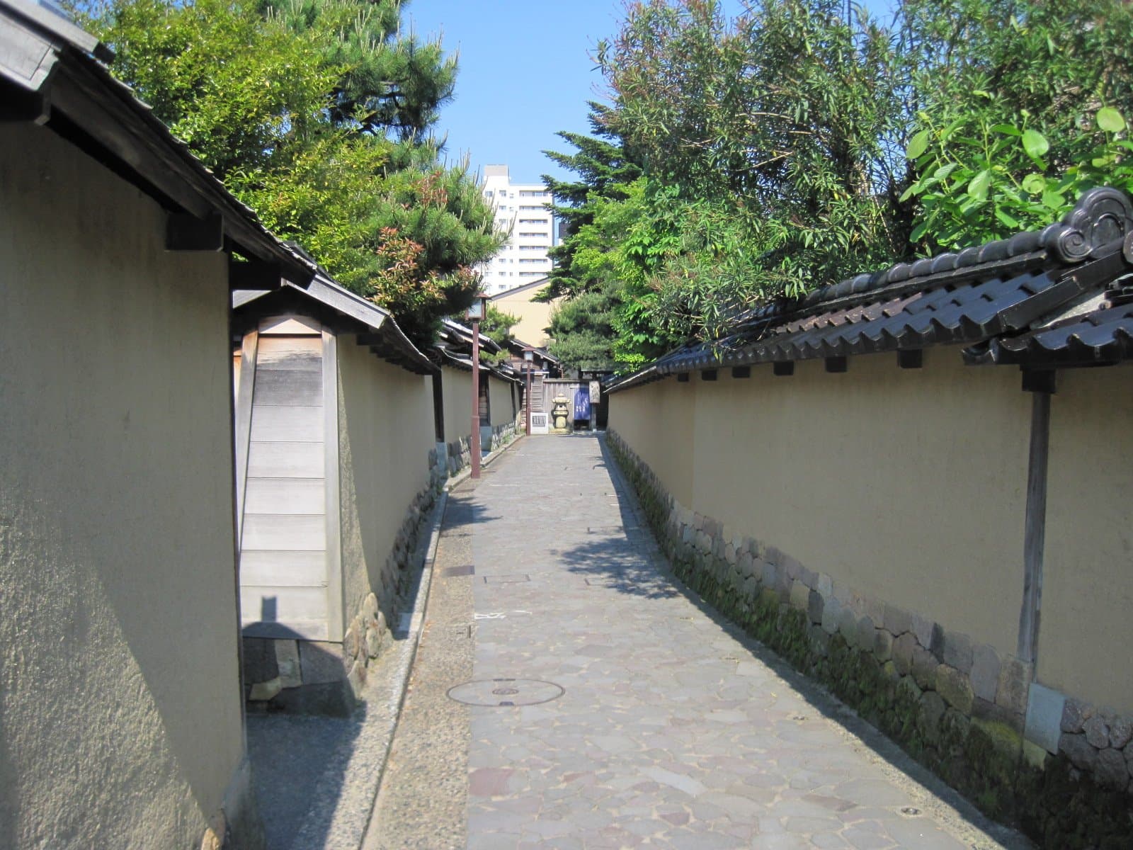 瓦をのせた長い土塀の間を通る石畳の細い小路と、夏の木々