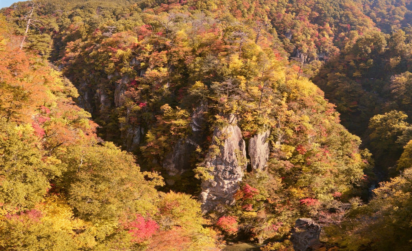 Naruko Gorge in autumn, with red, orange and yellow trees on steep rock walls