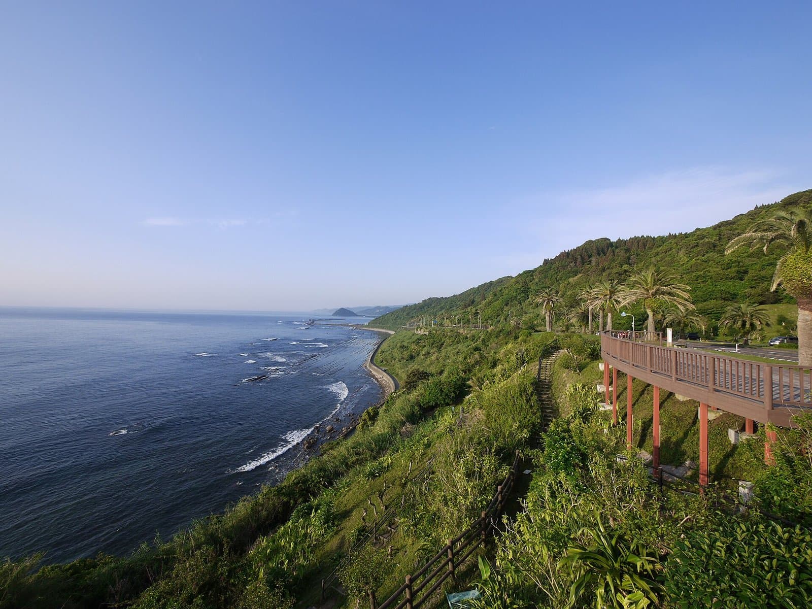 A green coastline with palm trees and a wooden viewing deck above a rocky shore