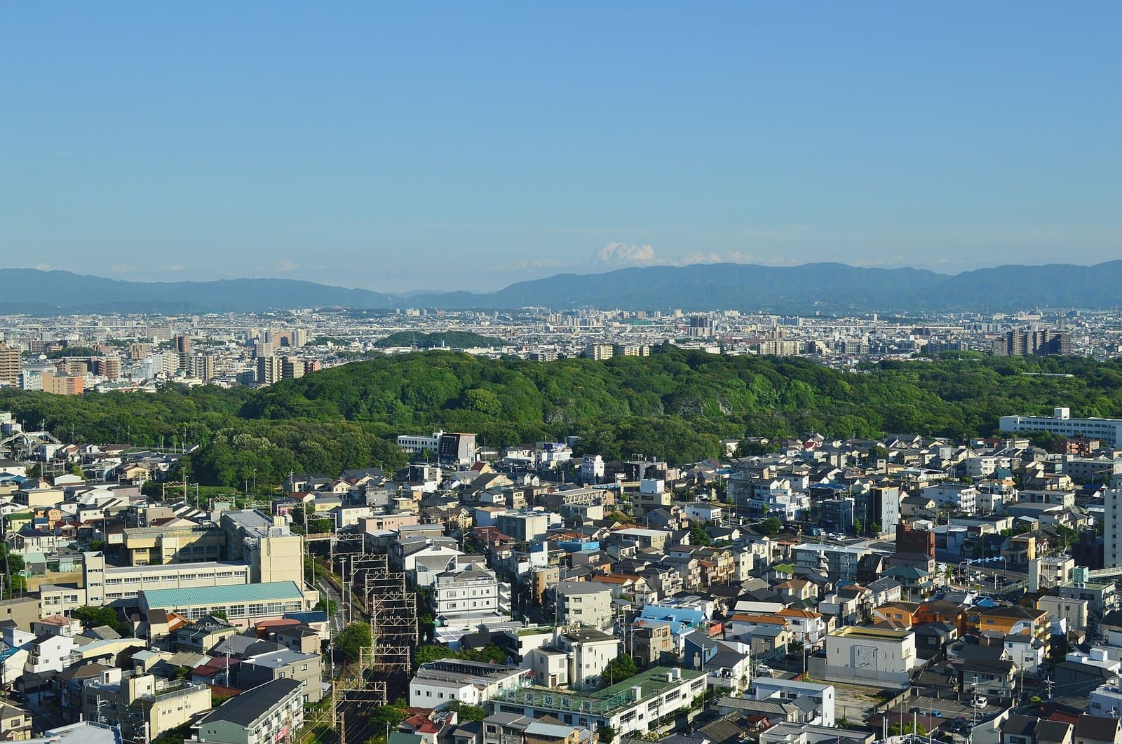 The long wooded mound of the Daisen Kofun rising above the surrounding city, seen from a high building
