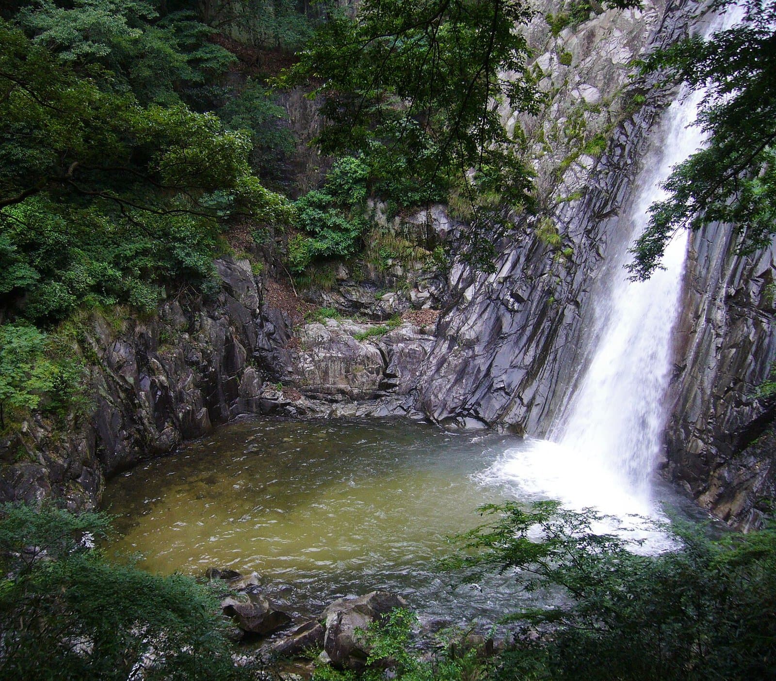 A waterfall pouring down a grey rock wall into a green pool surrounded by trees