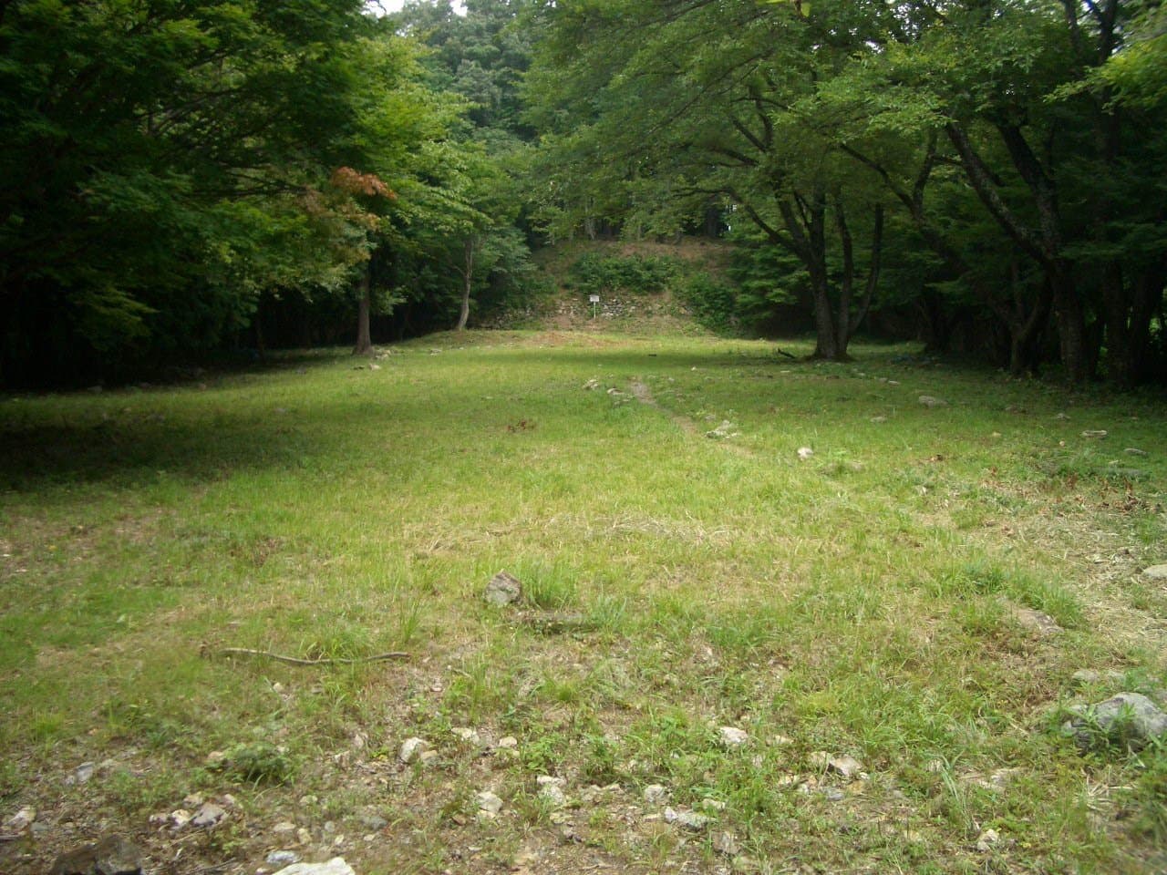 A grassy clearing on a mountain ridge, surrounded by green forest