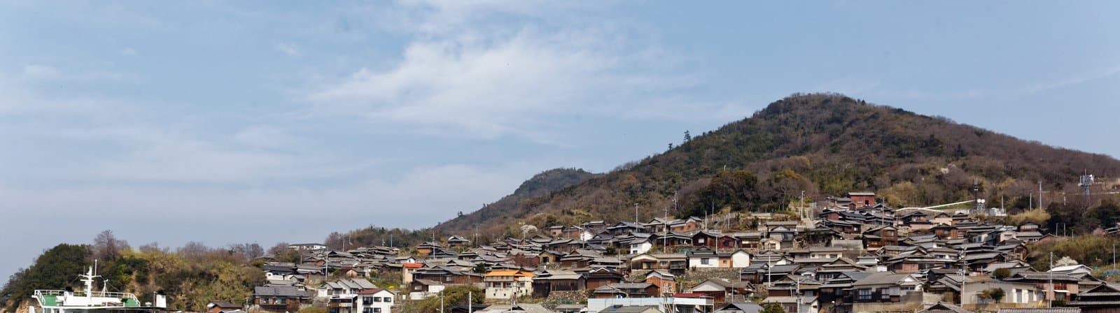 茶色い山のふもとの斜面に古い家が密集する集落
