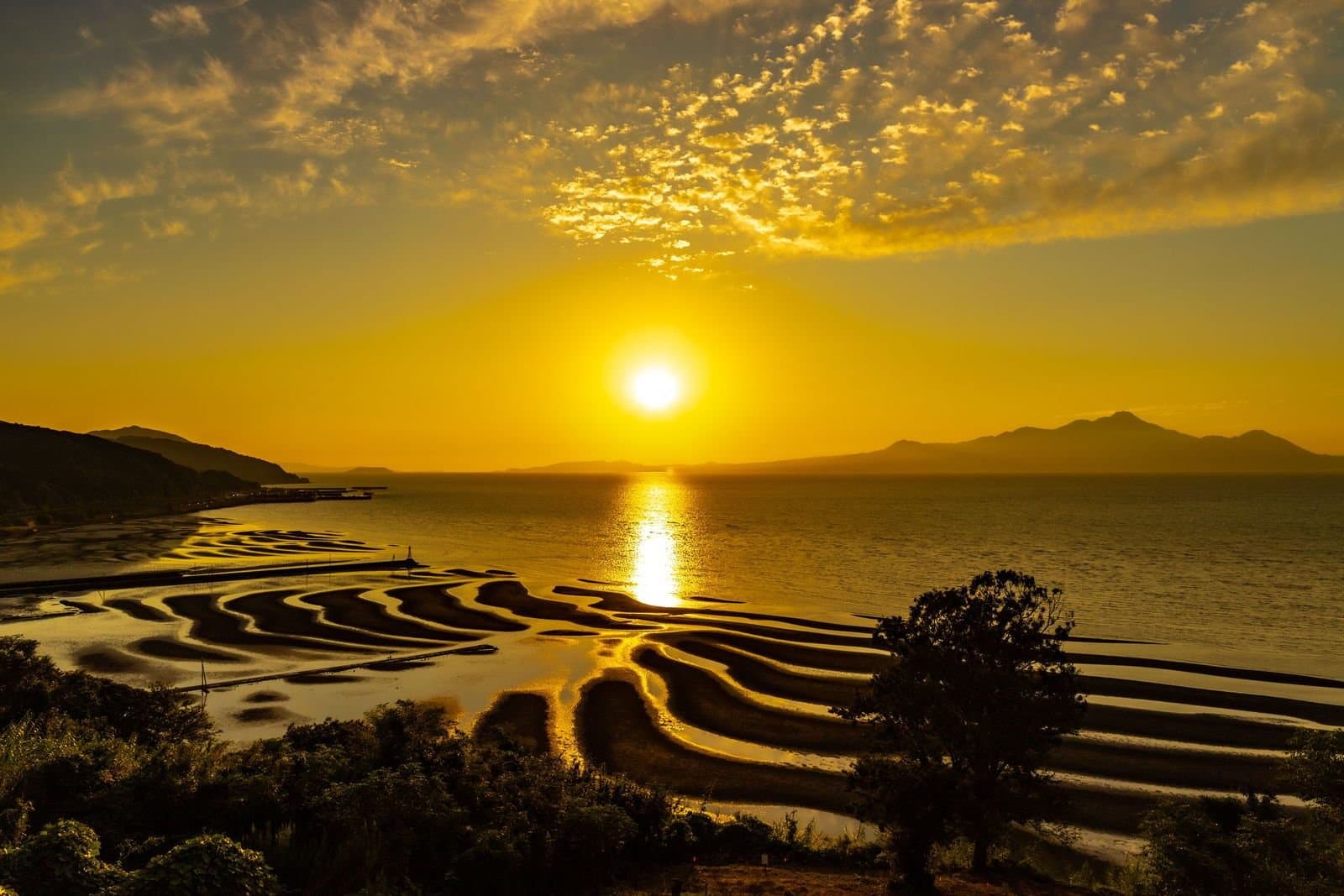 Curving sand ripples on a tidal flat glowing orange at sunset