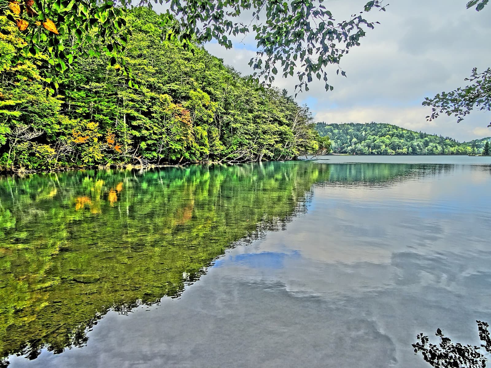 Green forest reflected in the clear, calm water of the lake