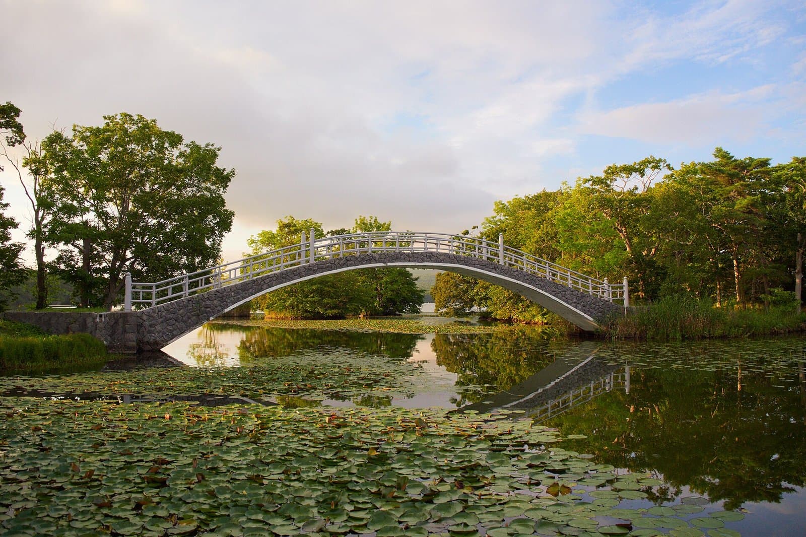 A white arched bridge over a pond with water-lily leaves and trees