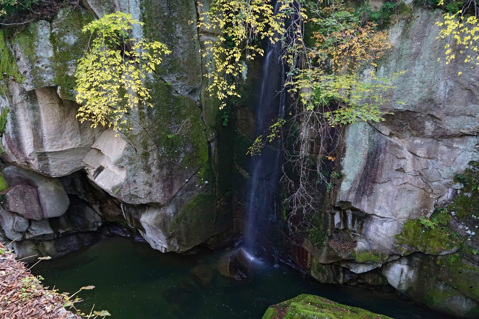 A thin waterfall dropping between grey rock walls into a dark green pool at Rairaikyo