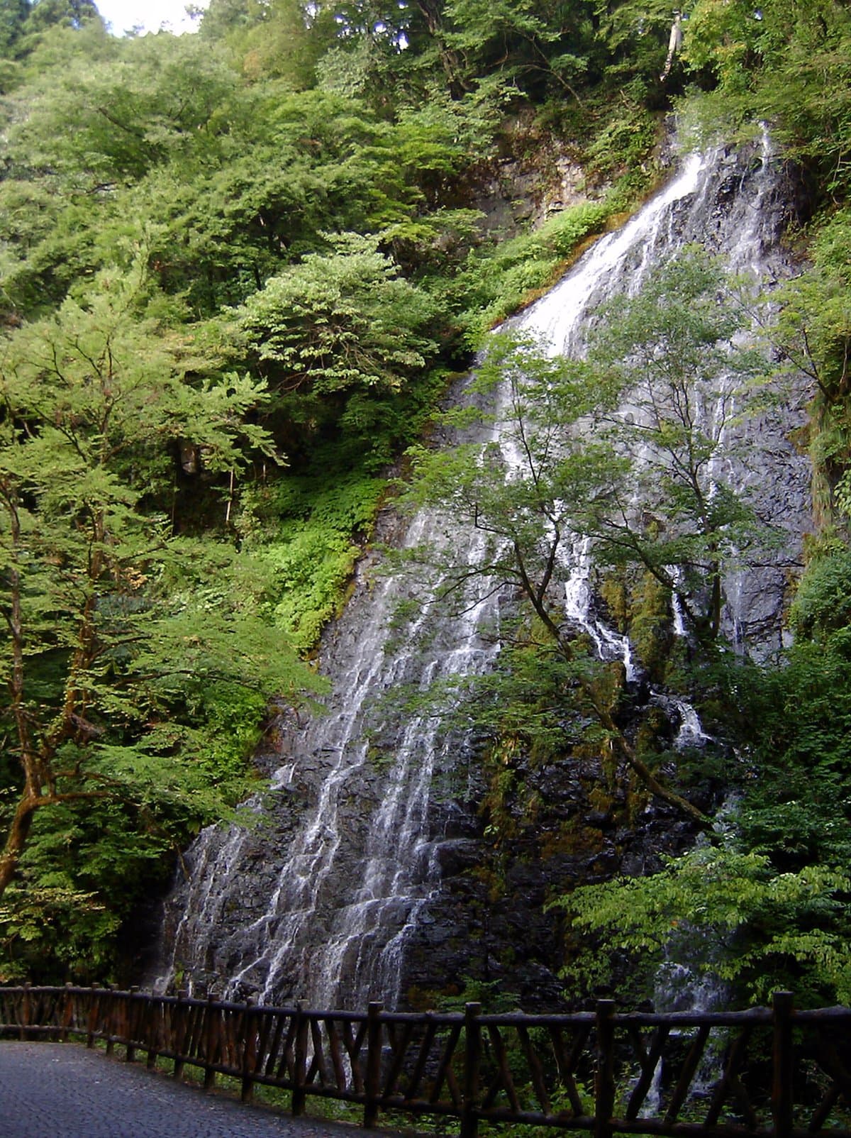 緑の森の岩肌を細い筋になって広がり落ちる滝