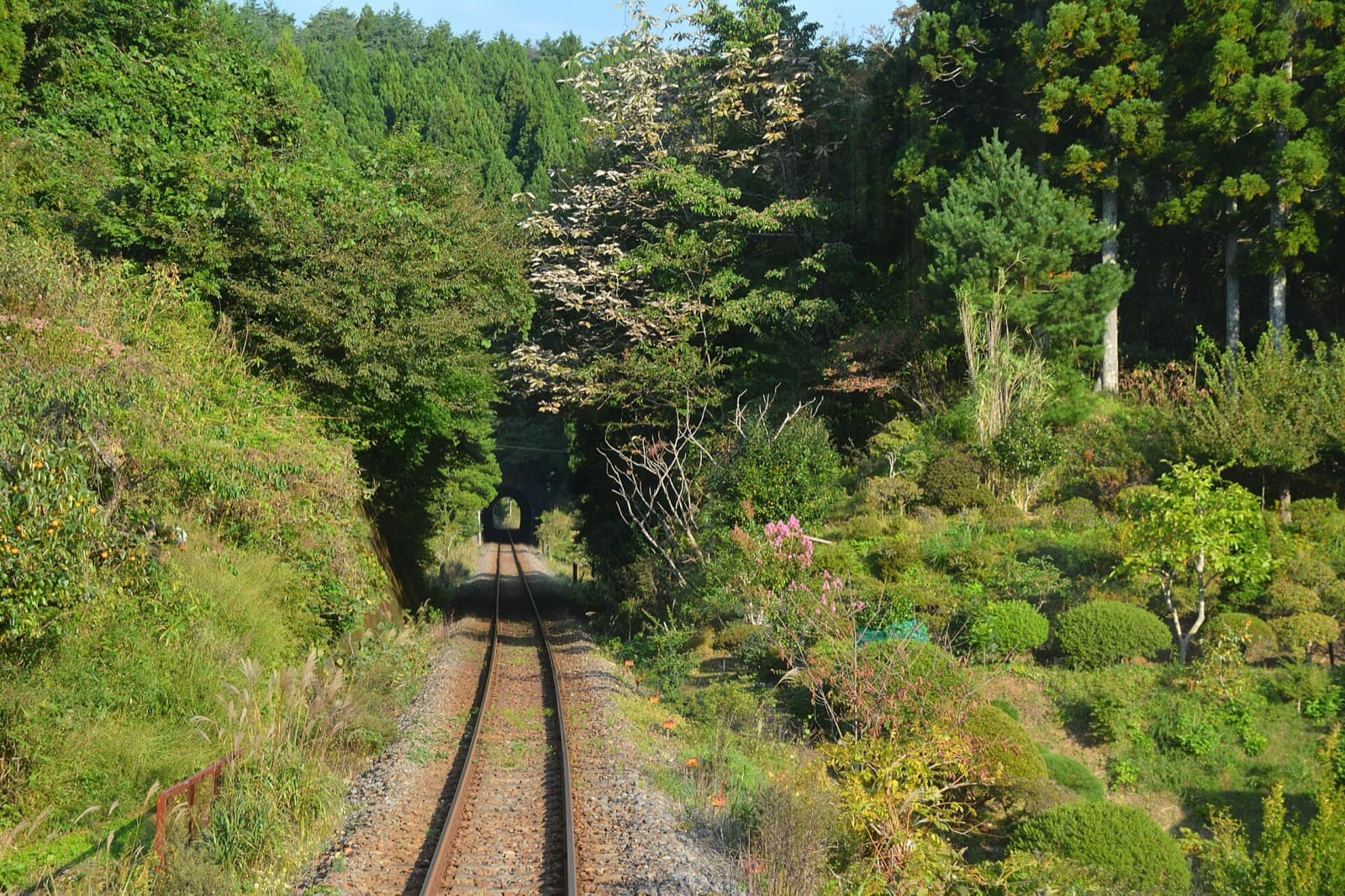 緑の林の中を小さなトンネルへ延びる単線の線路