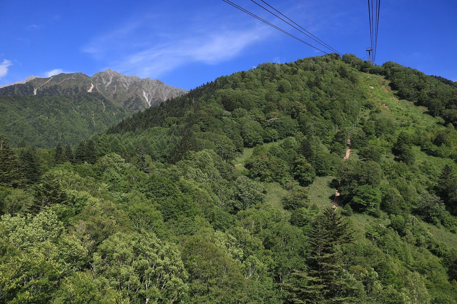 Green forested slopes and the rocky peak of Mt Nishihotaka seen from the ropeway, with the cables overhead