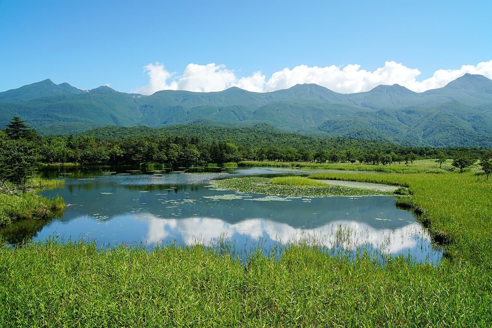 A lake among marsh grass reflecting clouds, with the Shiretoko mountains behind