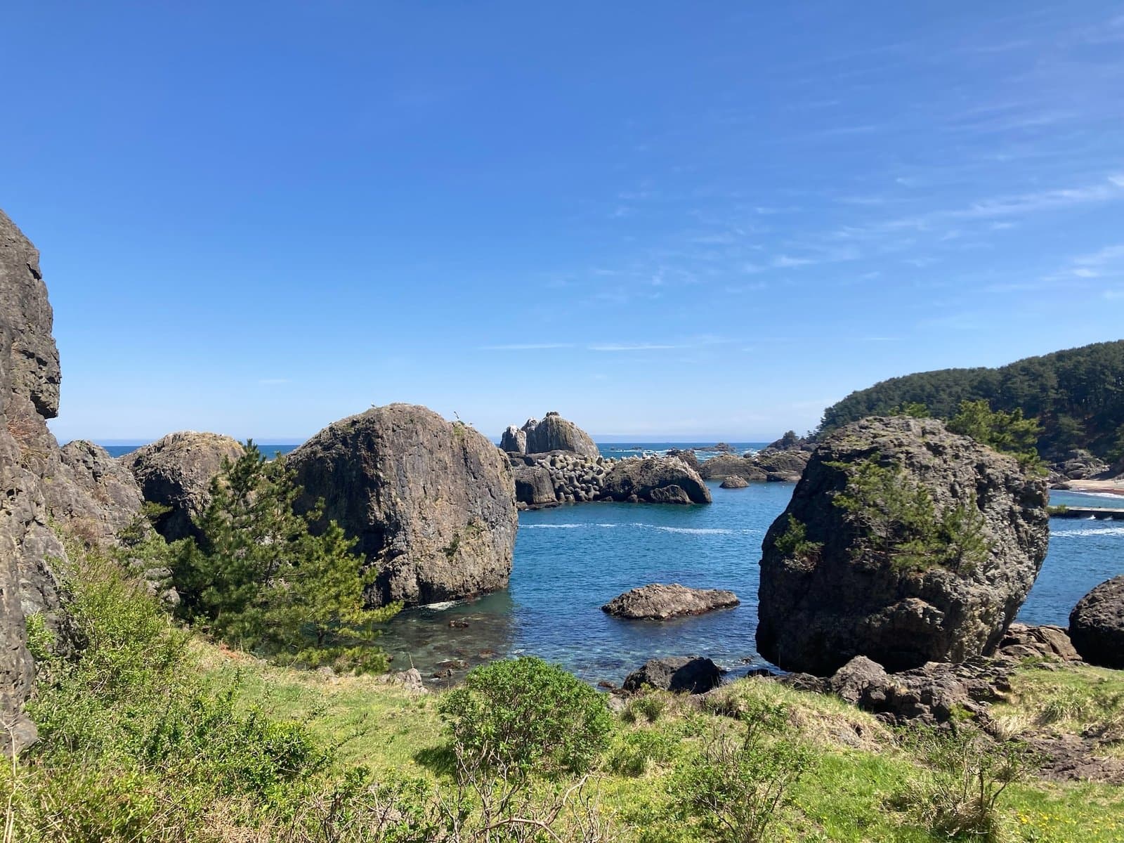 青い入り江にそびえる大きな岩と、松の茂る岬、手前の草地