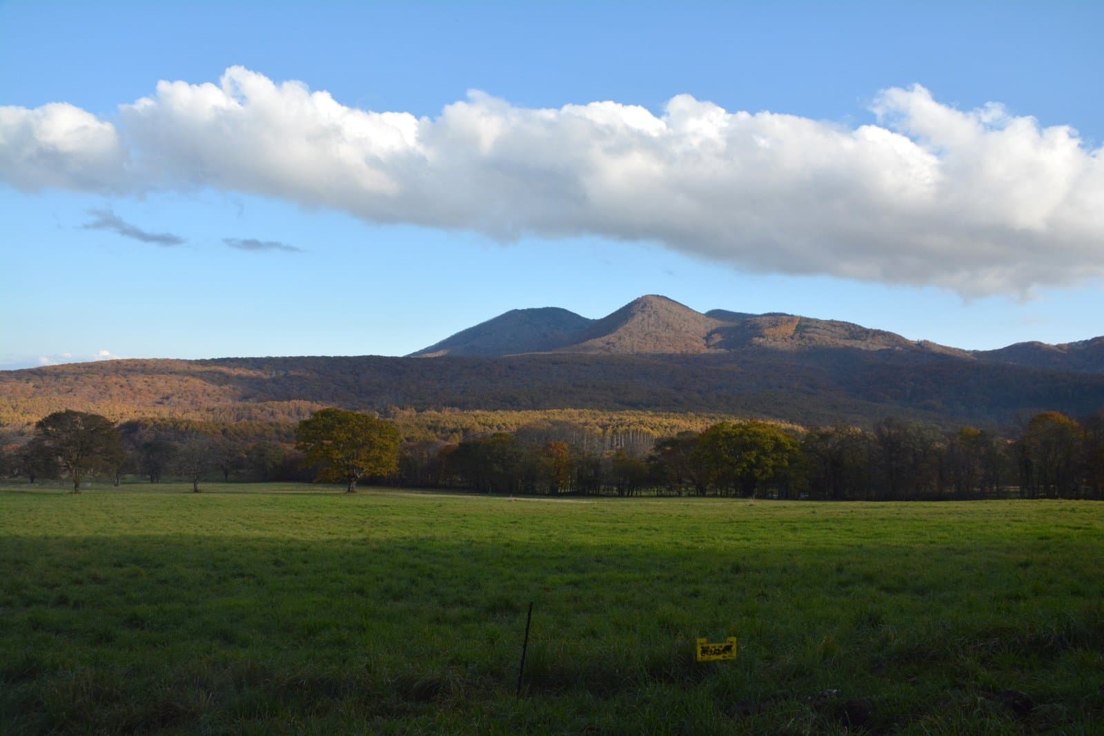 A green pasture with scattered trees in front of a brown autumn mountain under a long cloud