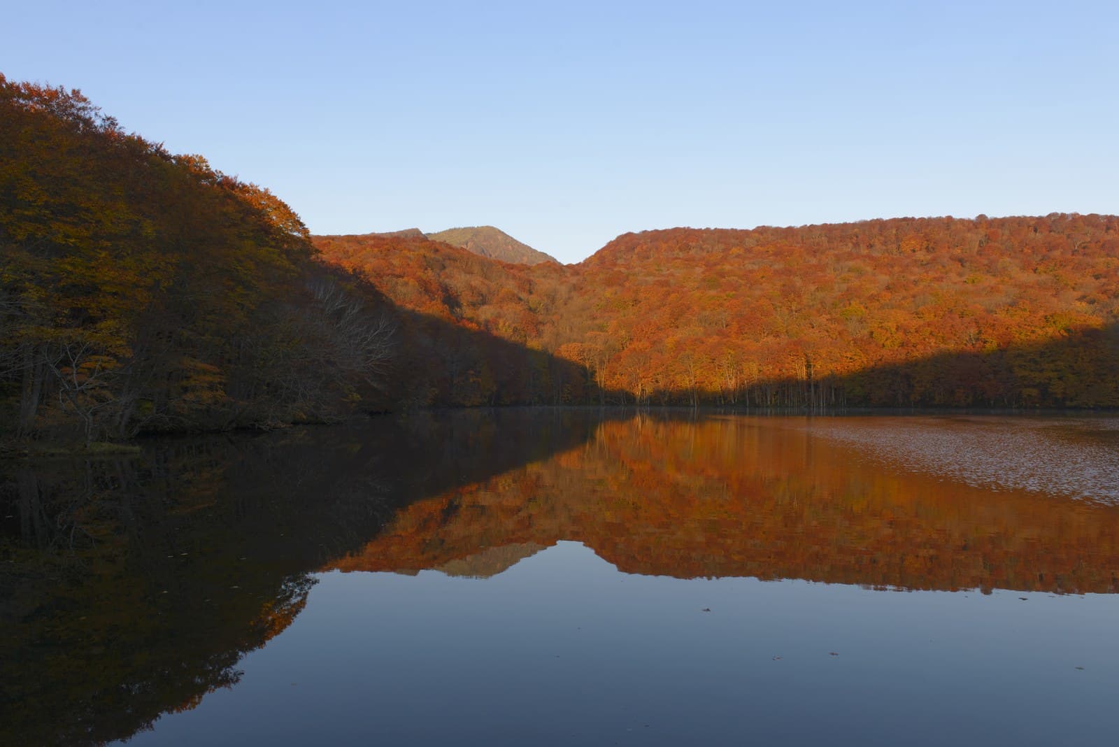 紅葉した山が静かな沼の水面に映る景色