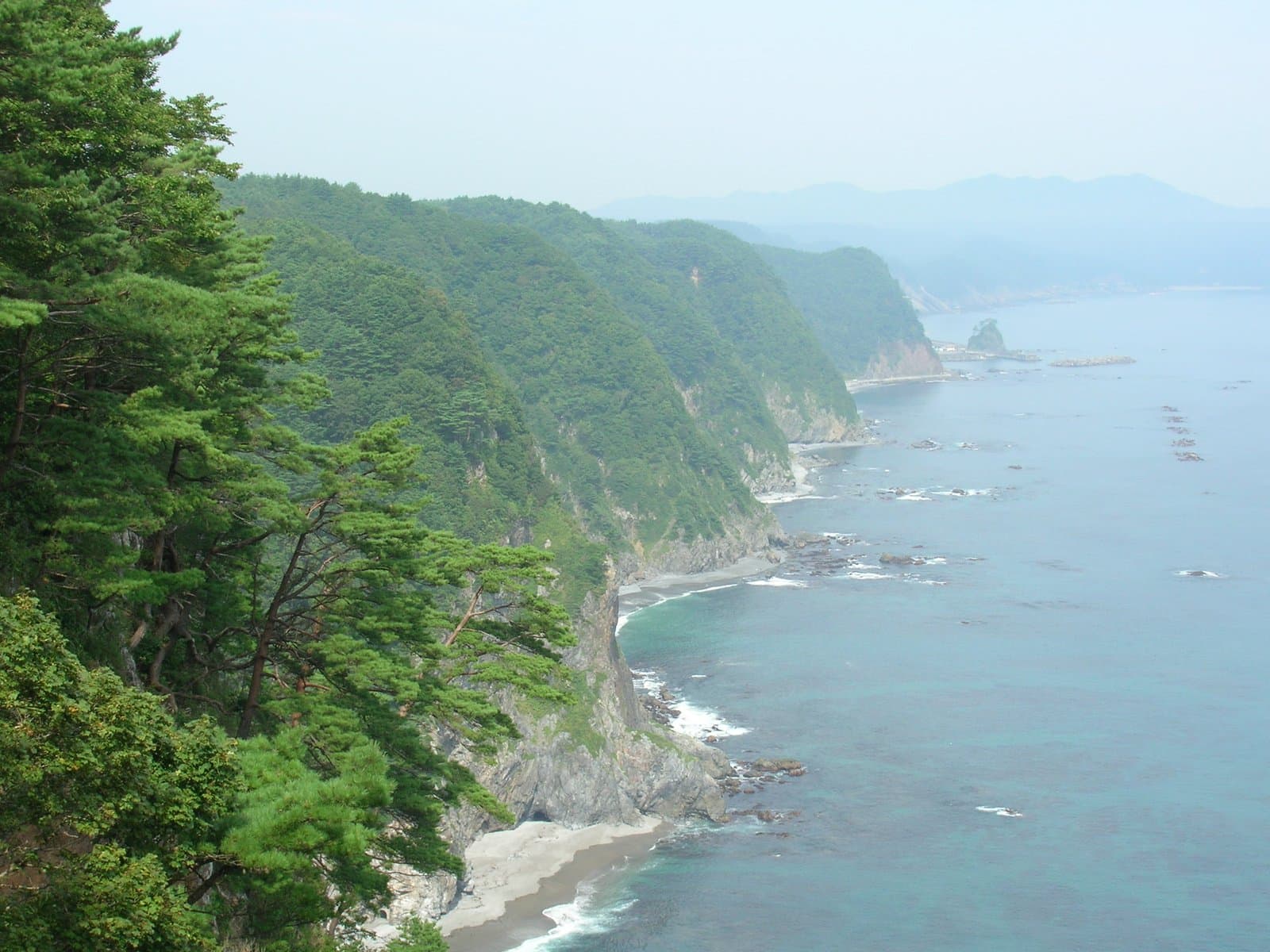 Forested sea cliffs lined up along a blue sea, seen from above