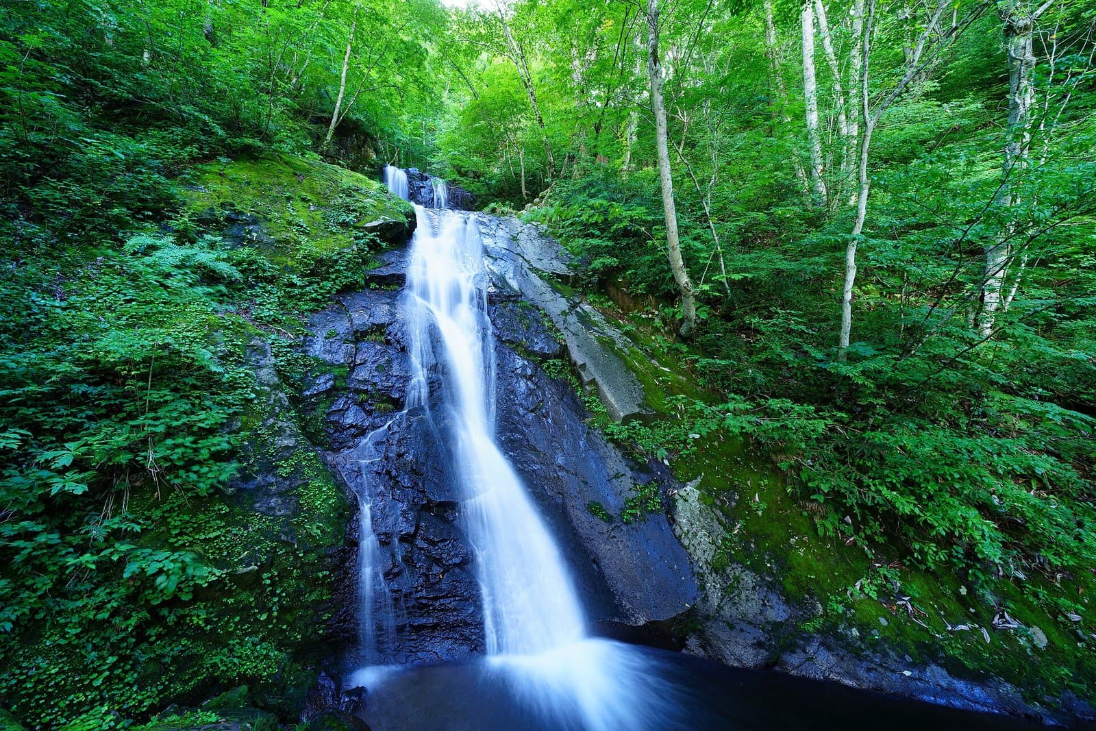 A waterfall sliding down dark rock into a pool, surrounded by bright green forest