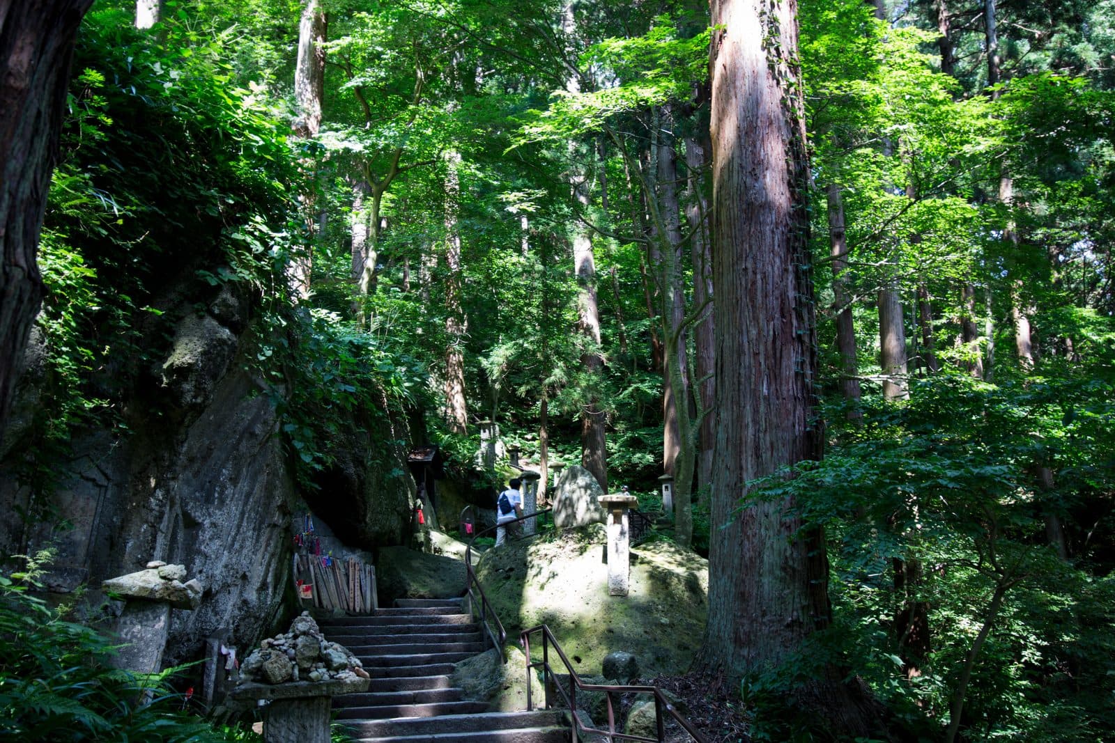 Stone steps climbing through tall cedar trees on the path up Yamadera