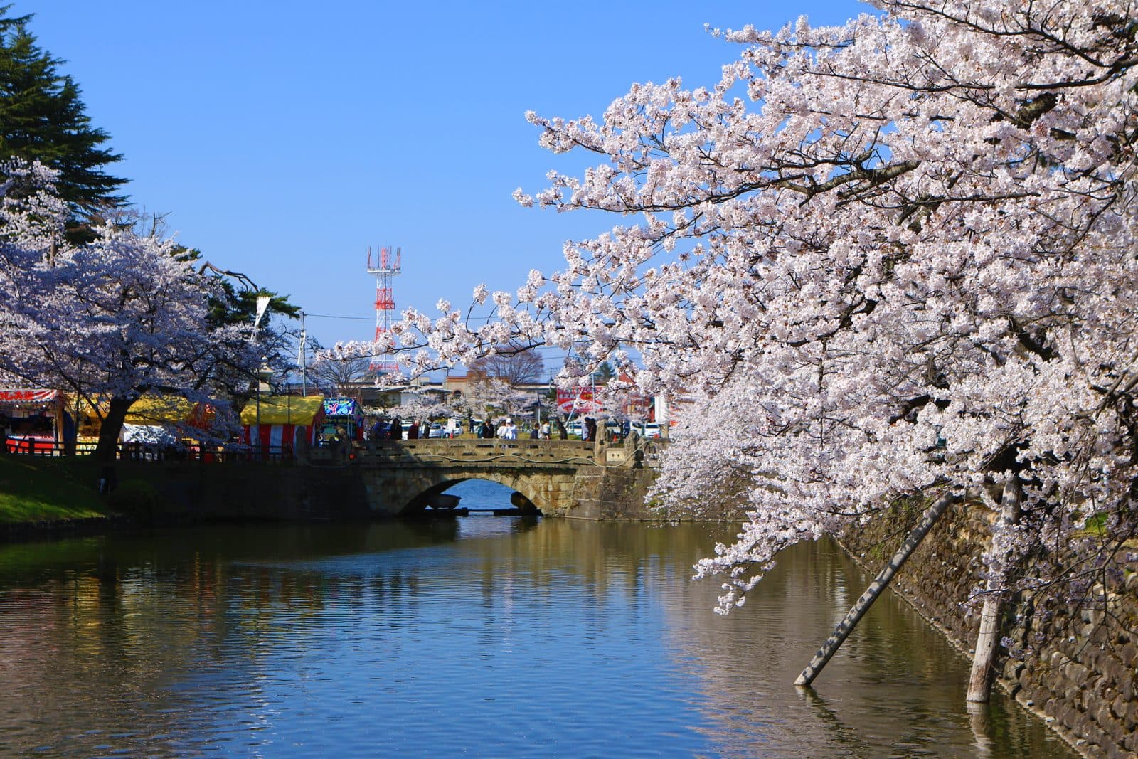 Cherry blossoms over the moat of the former Yonezawa Castle, with a small bridge