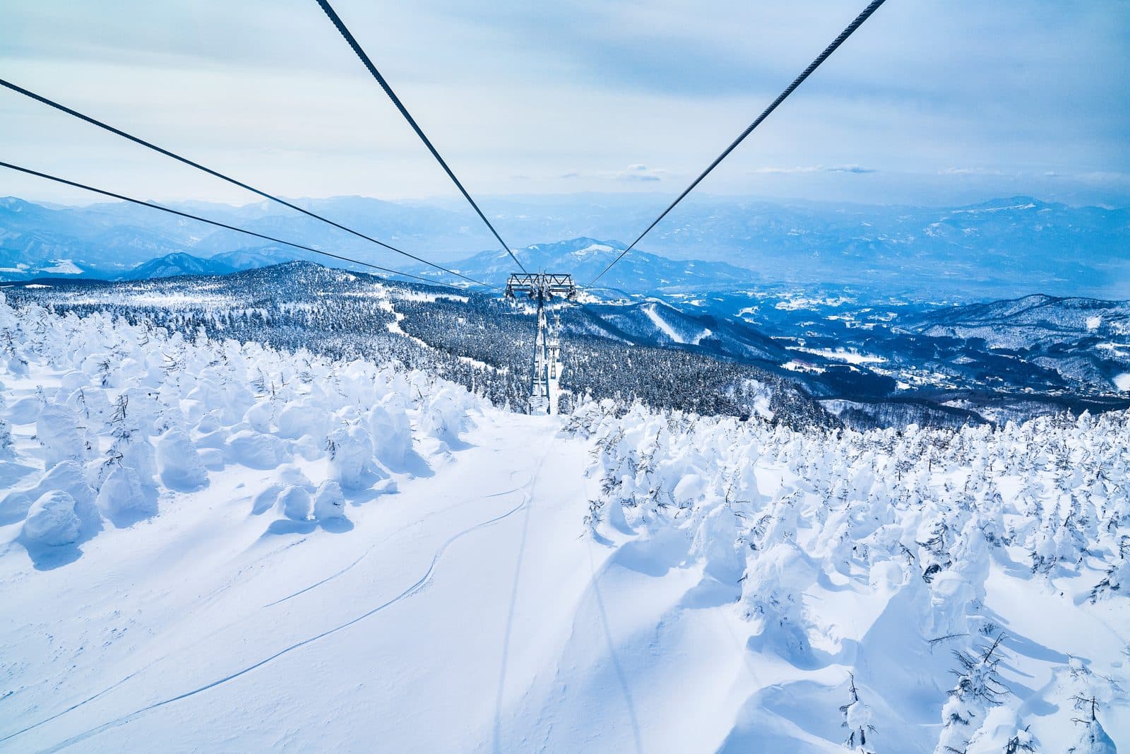 Snow-covered rime-ice trees on Zao seen from the ropeway, with the cables above