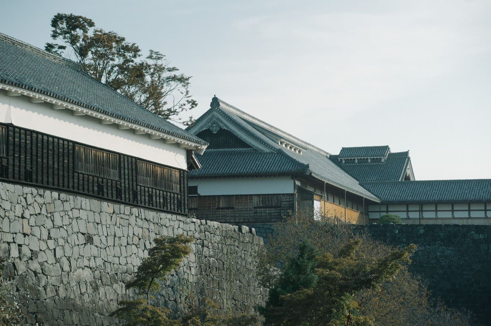 Castle buildings with white walls on high stone walls