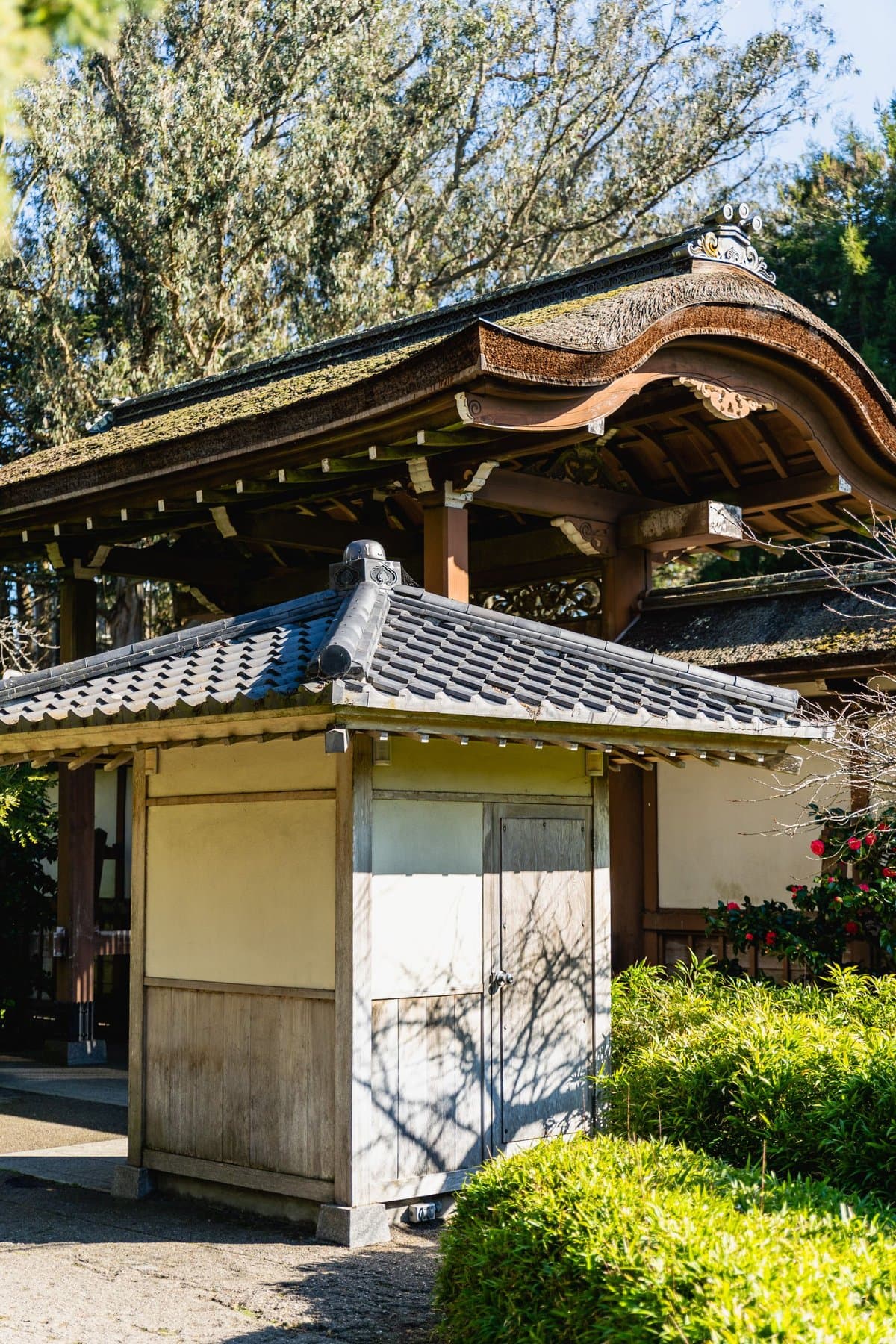 A wooden gate with a curved roof at the entrance of a Japanese garden