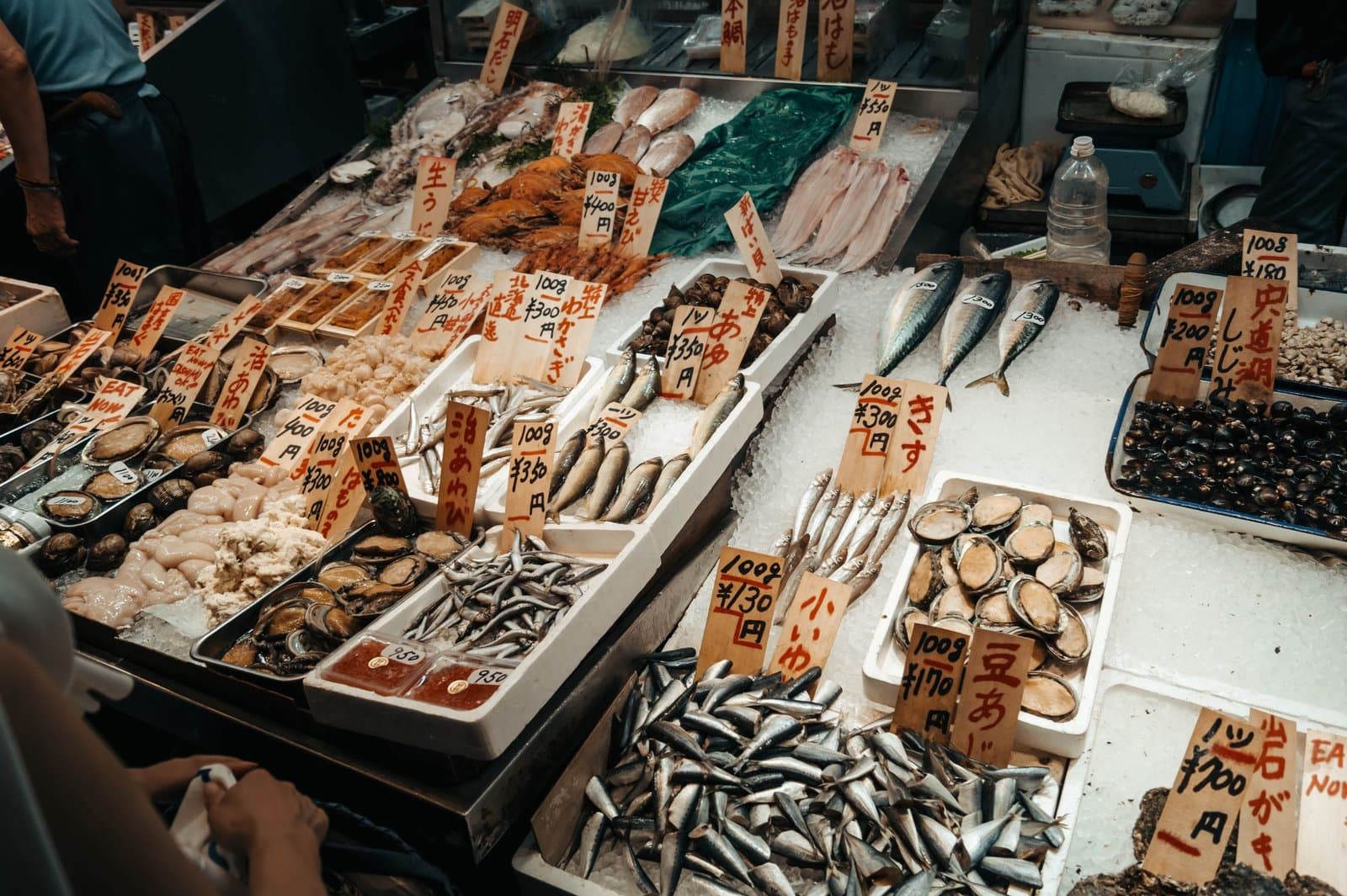 Fresh fish and shellfish laid out on ice at a market stall